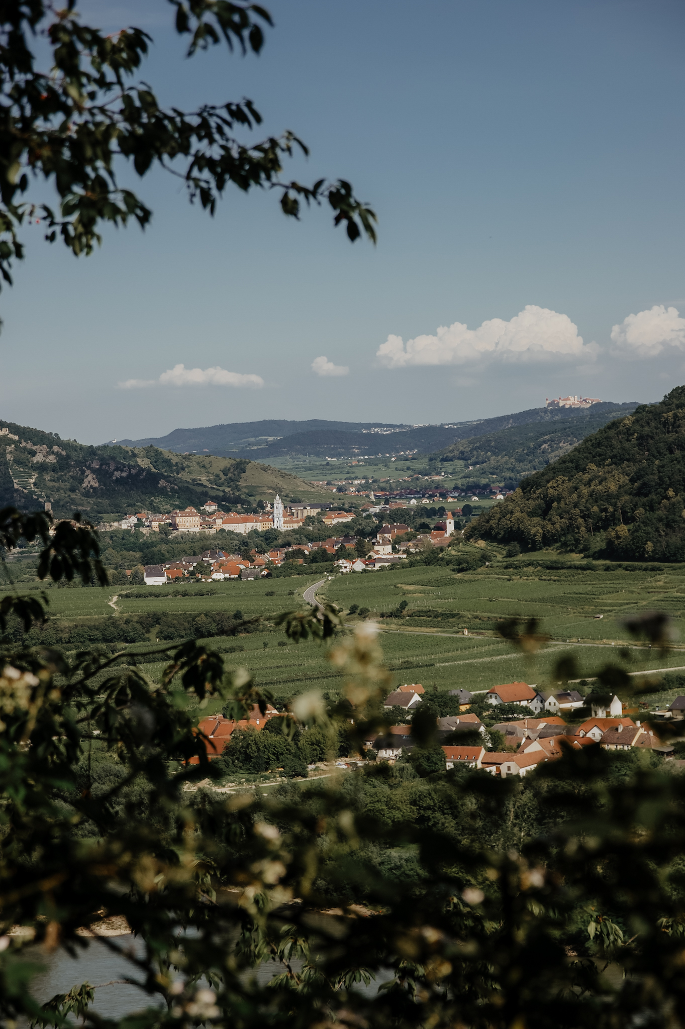 Wachau: Wanderung zum Aussichtspunkt in der Nähe der Kügerlwand