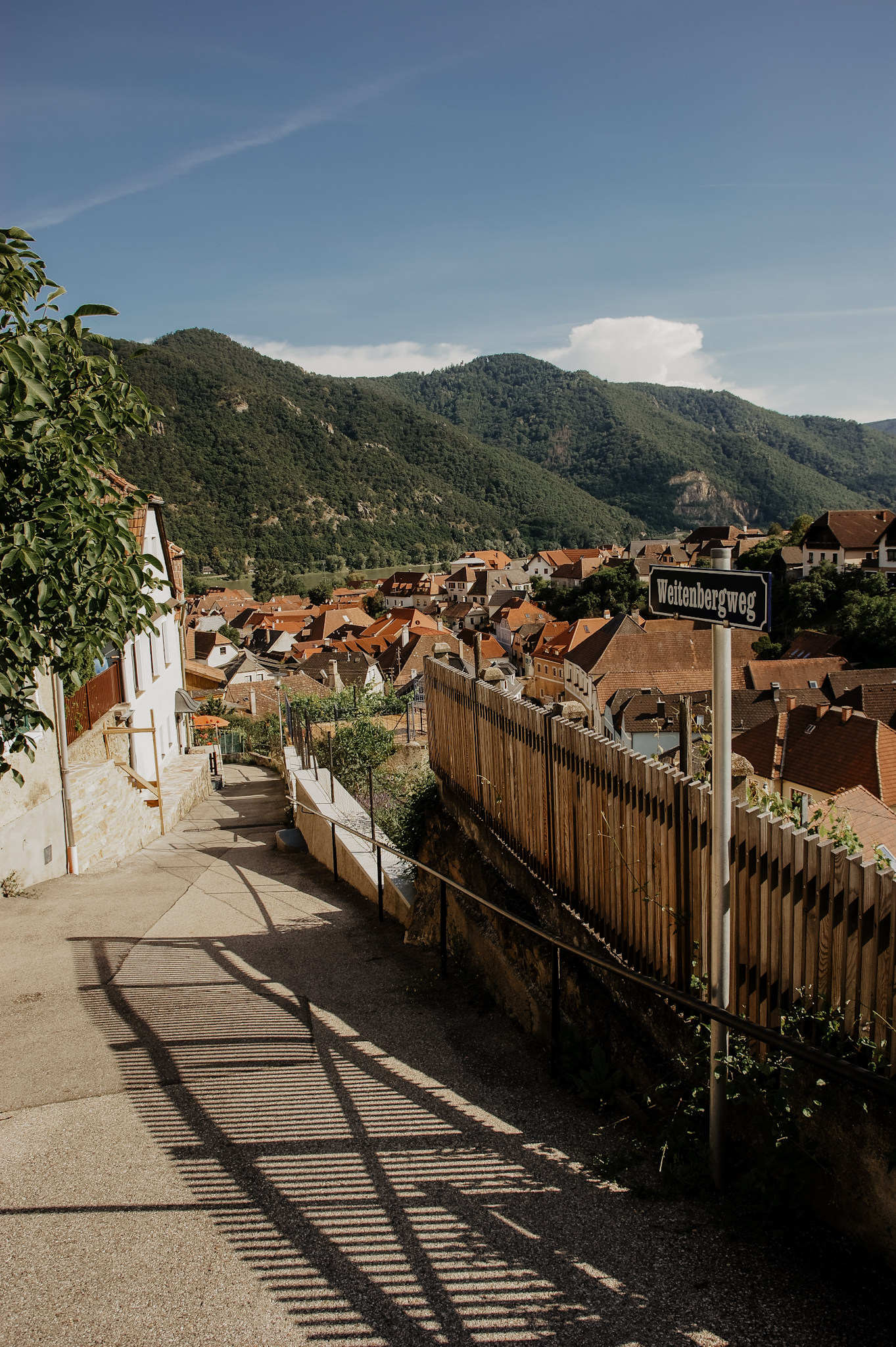 Wachau: Wanderung zum Aussichtspunkt in der Nähe der Kügerlwand