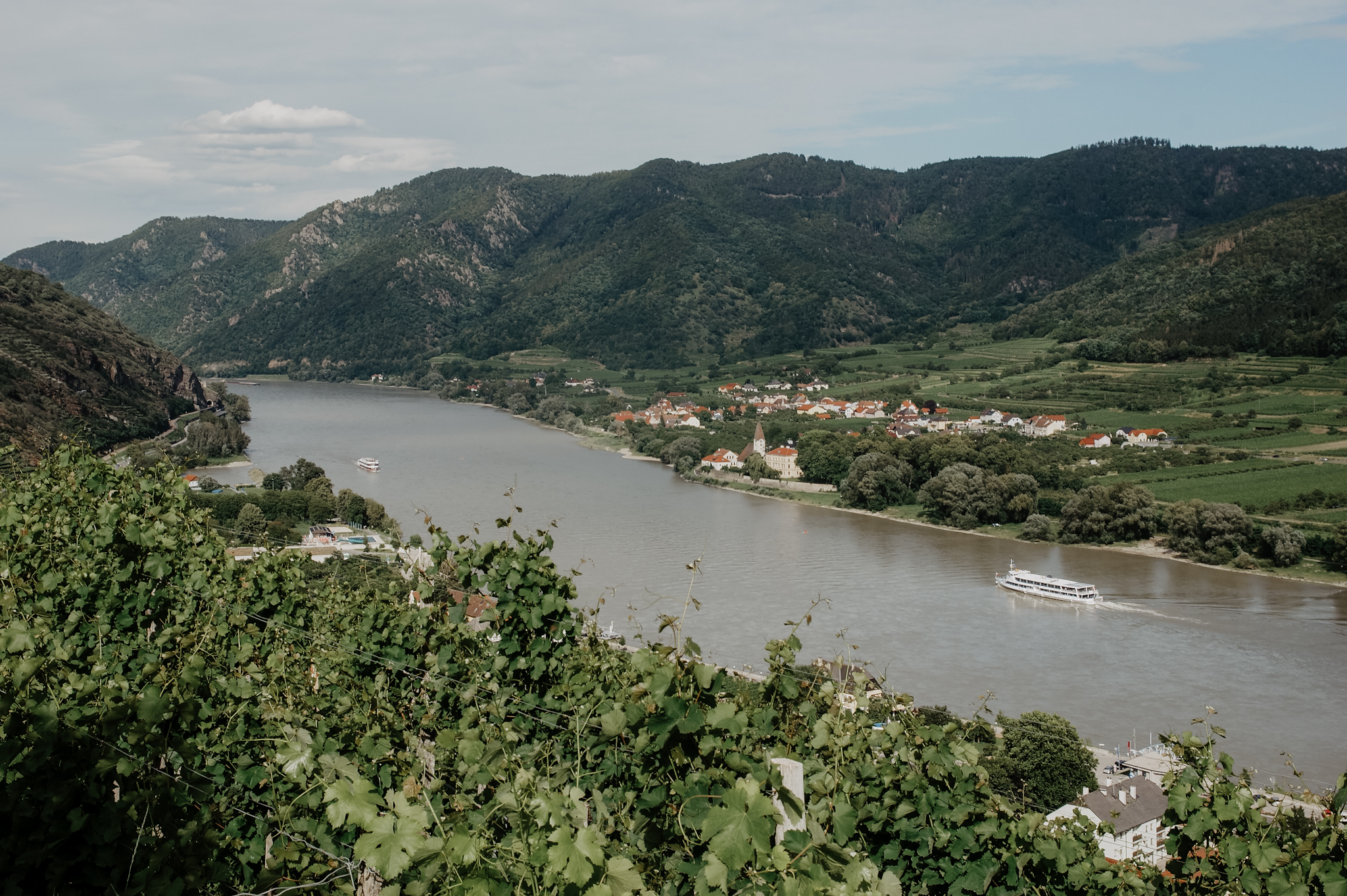 Wachau Wanderung Tausendeimerberg