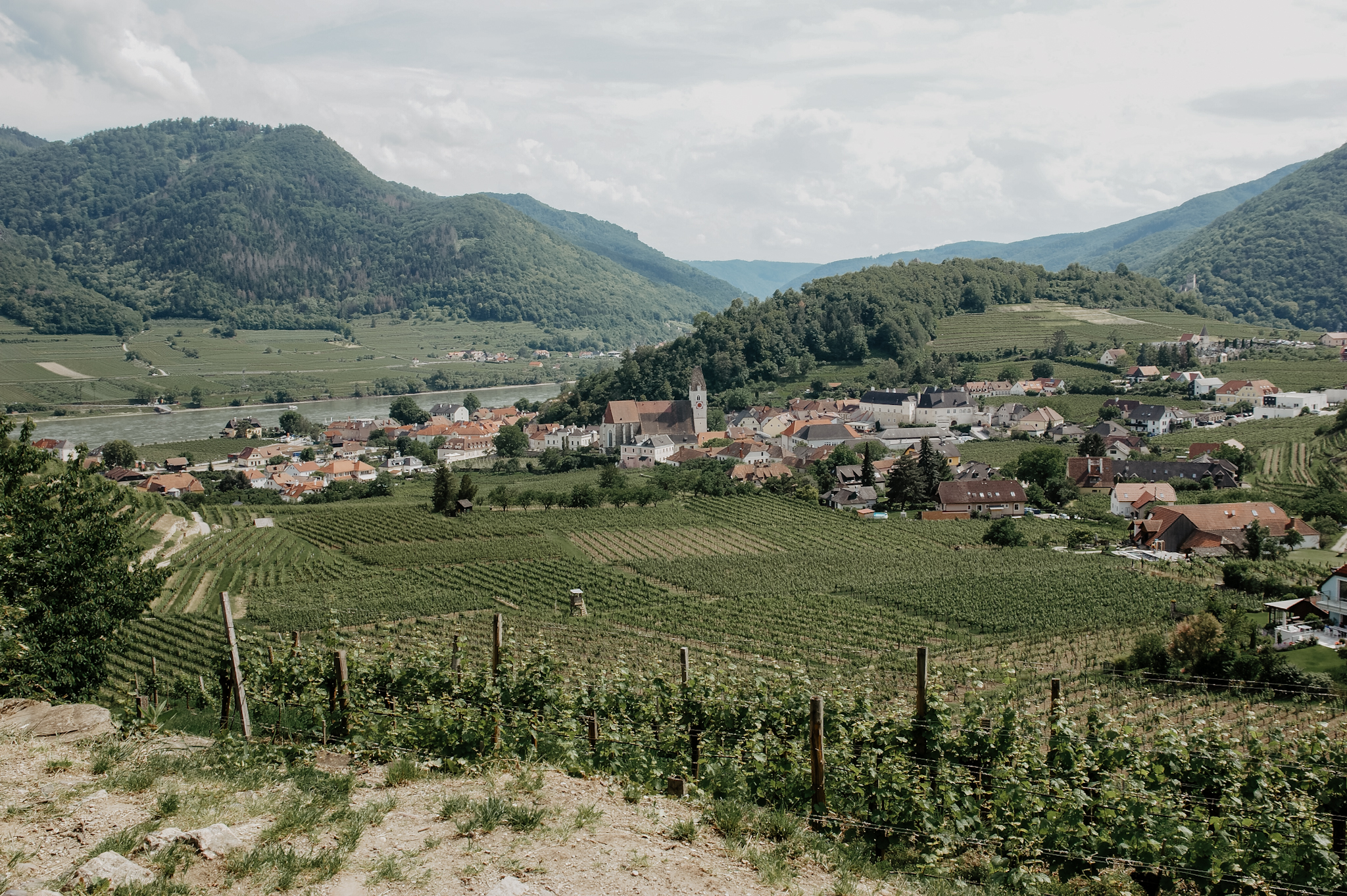 Wachau Spitz Wanderung Rotes Tor