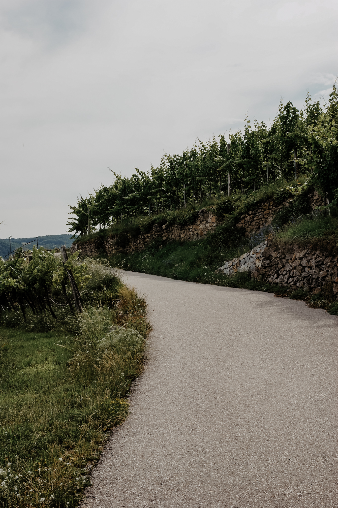 Wachau Wanderung