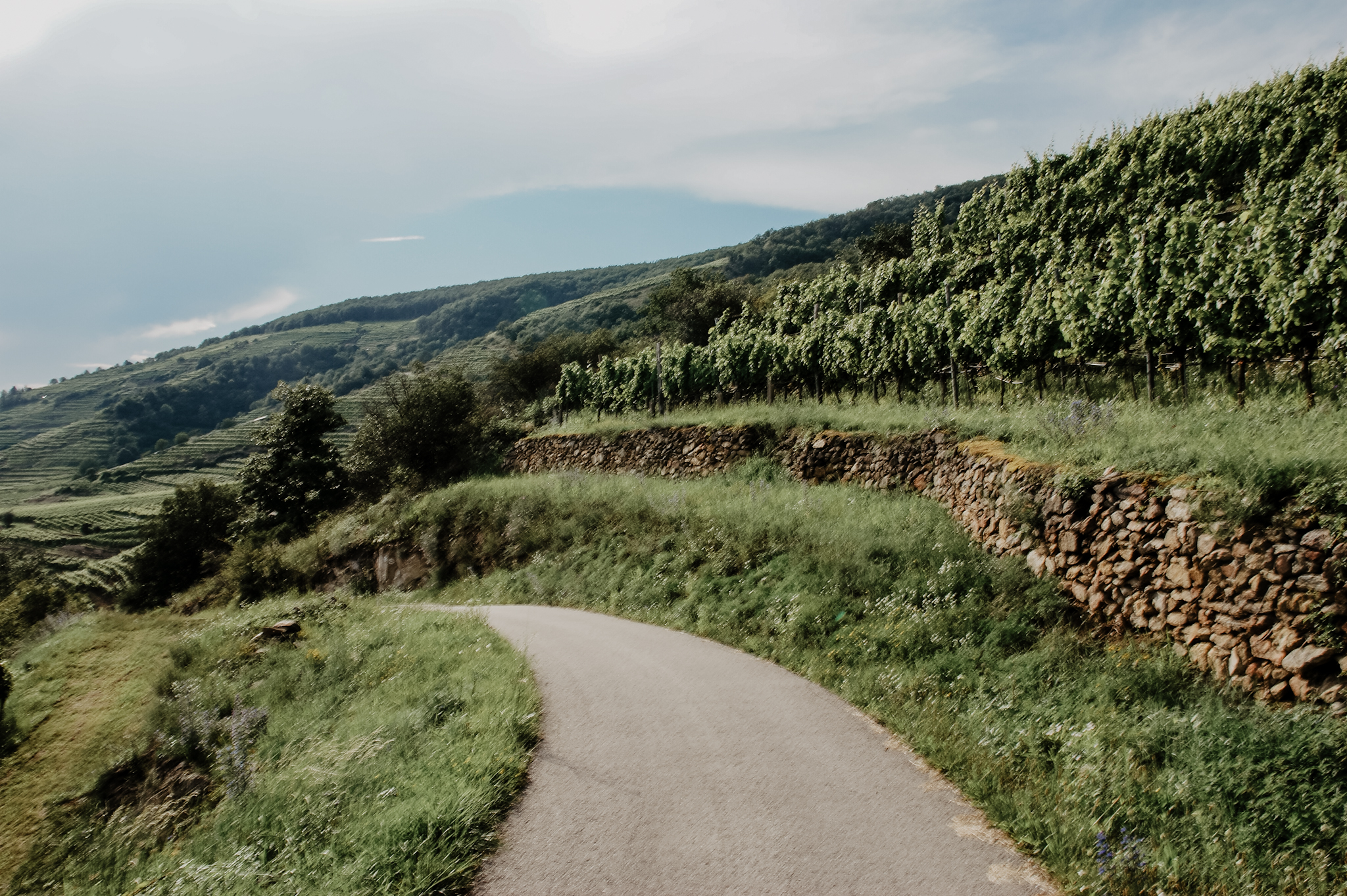 Wachau Wanderung