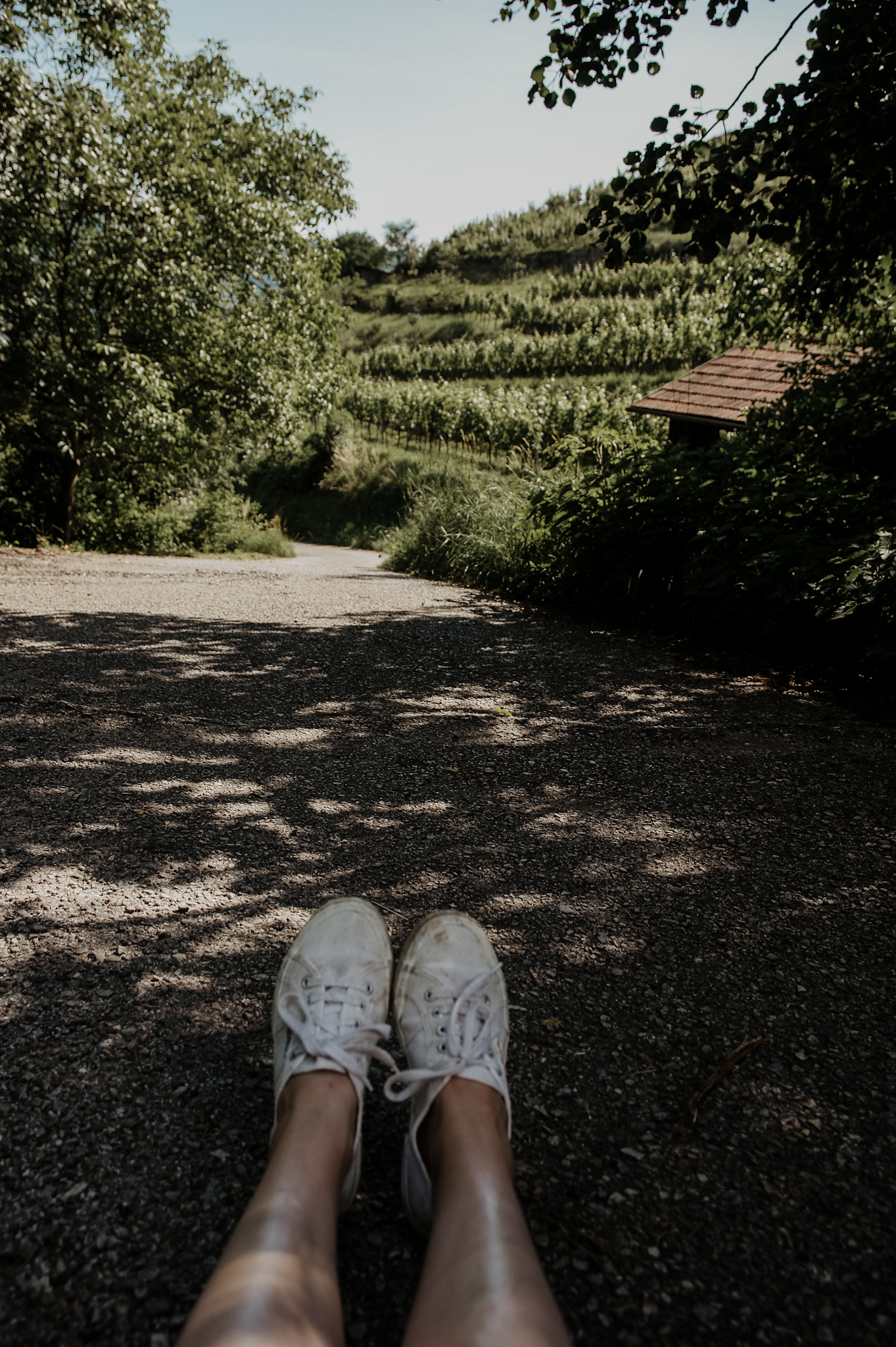 Wachau: Wanderung zum Aussichtspunkt in der Nähe der Kügerlwand