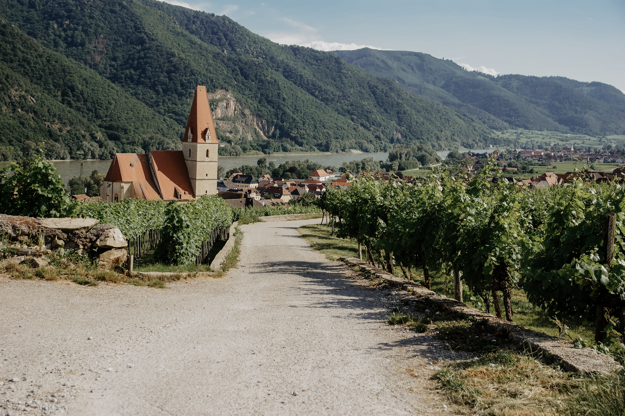 Wachau: Wanderung zum Aussichtspunkt in der Nähe der Kügerlwand