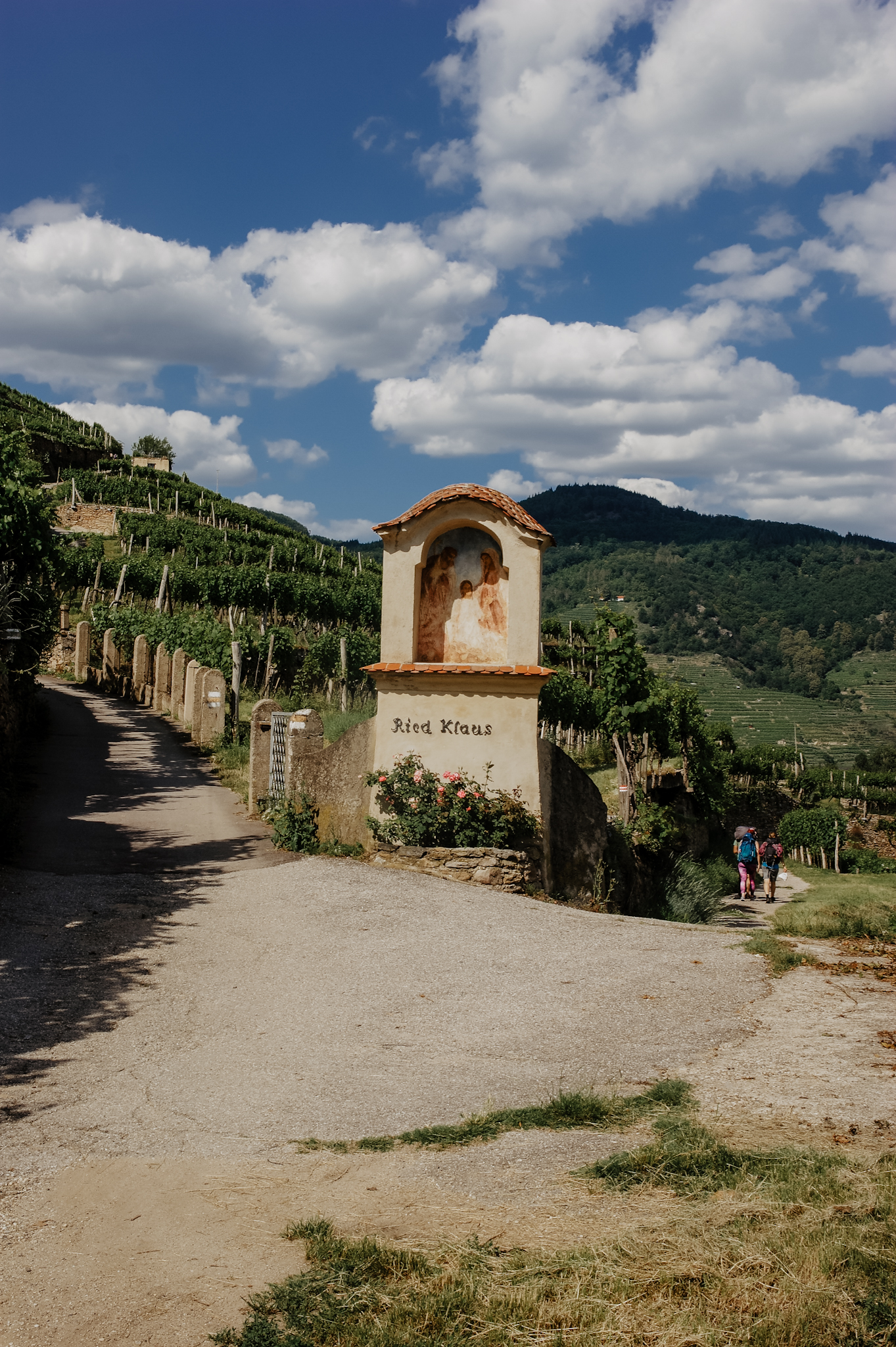 Wachau: Wanderung zum Aussichtspunkt in der Nähe der Kügerlwand