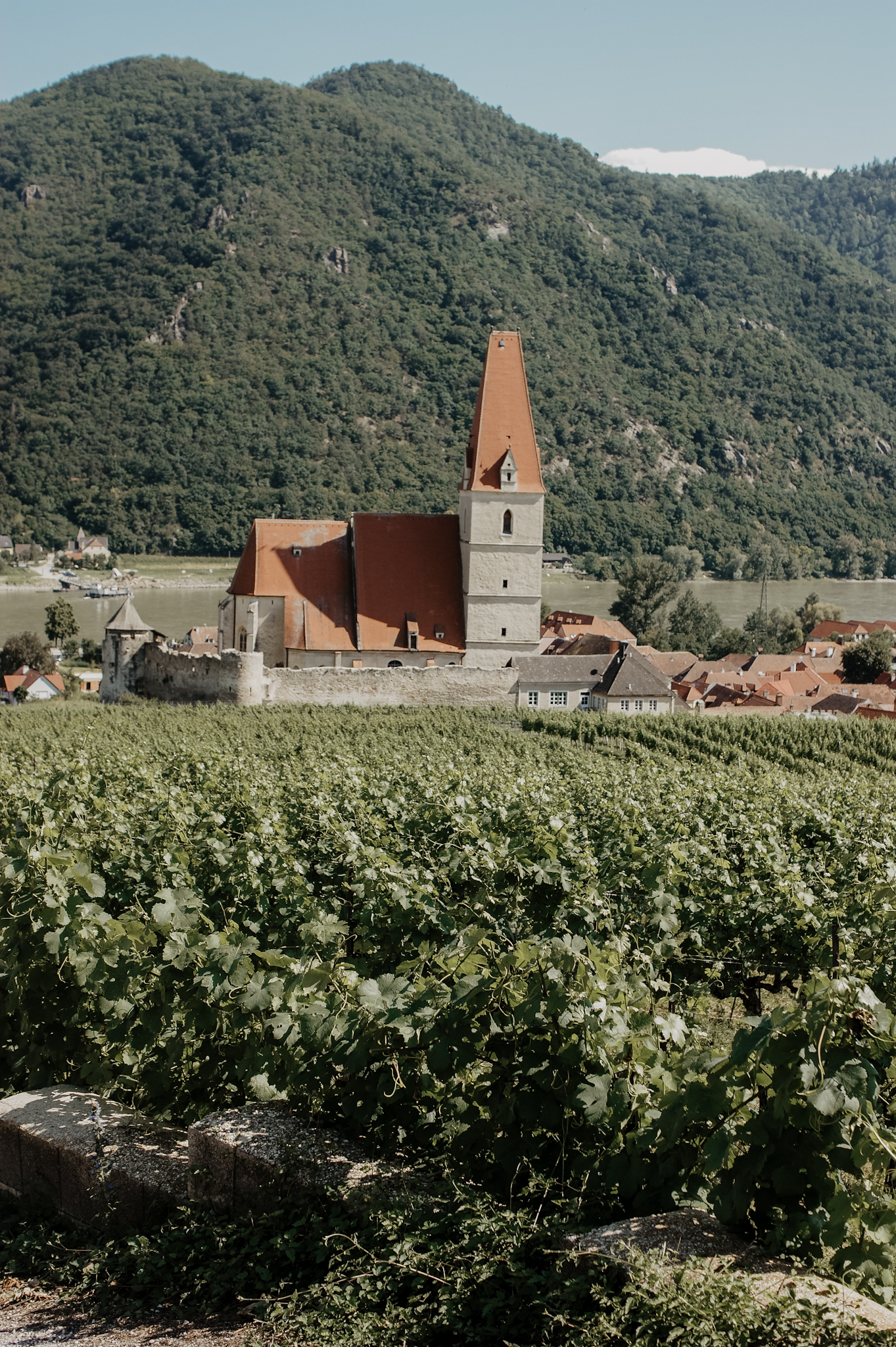 Wachau: Wanderung zum Aussichtspunkt in der Nähe der Kügerlwand