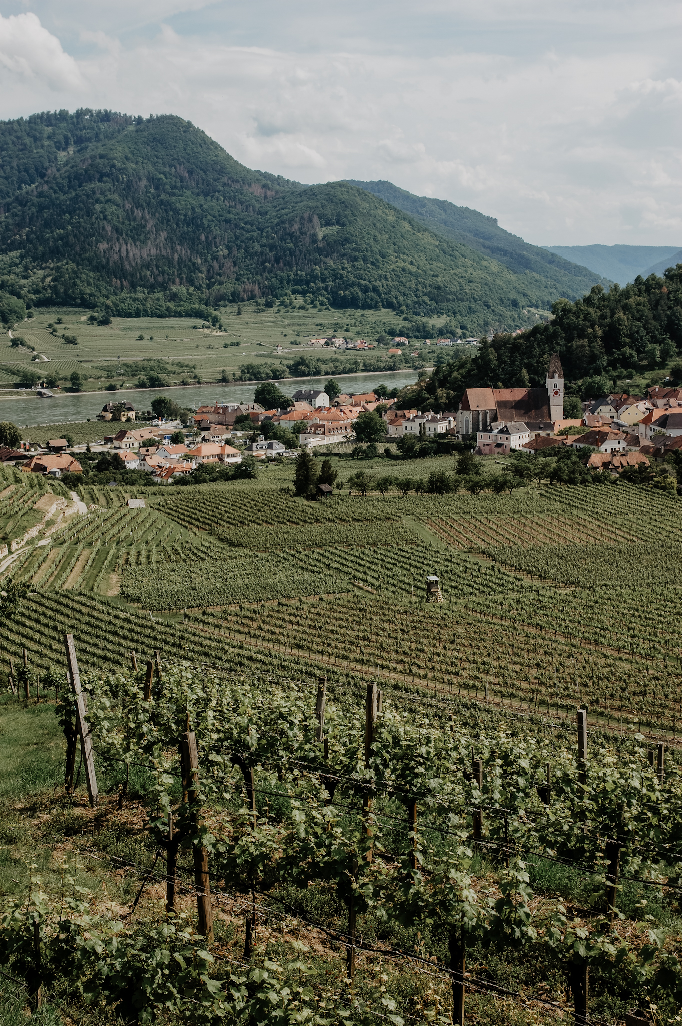 Wachau Spitz Wanderung Rotes Tor