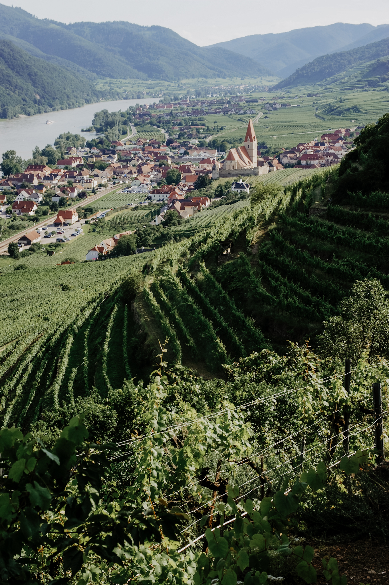 Wachau: Wanderung zum Aussichtspunkt in der Nähe der Kügerlwand