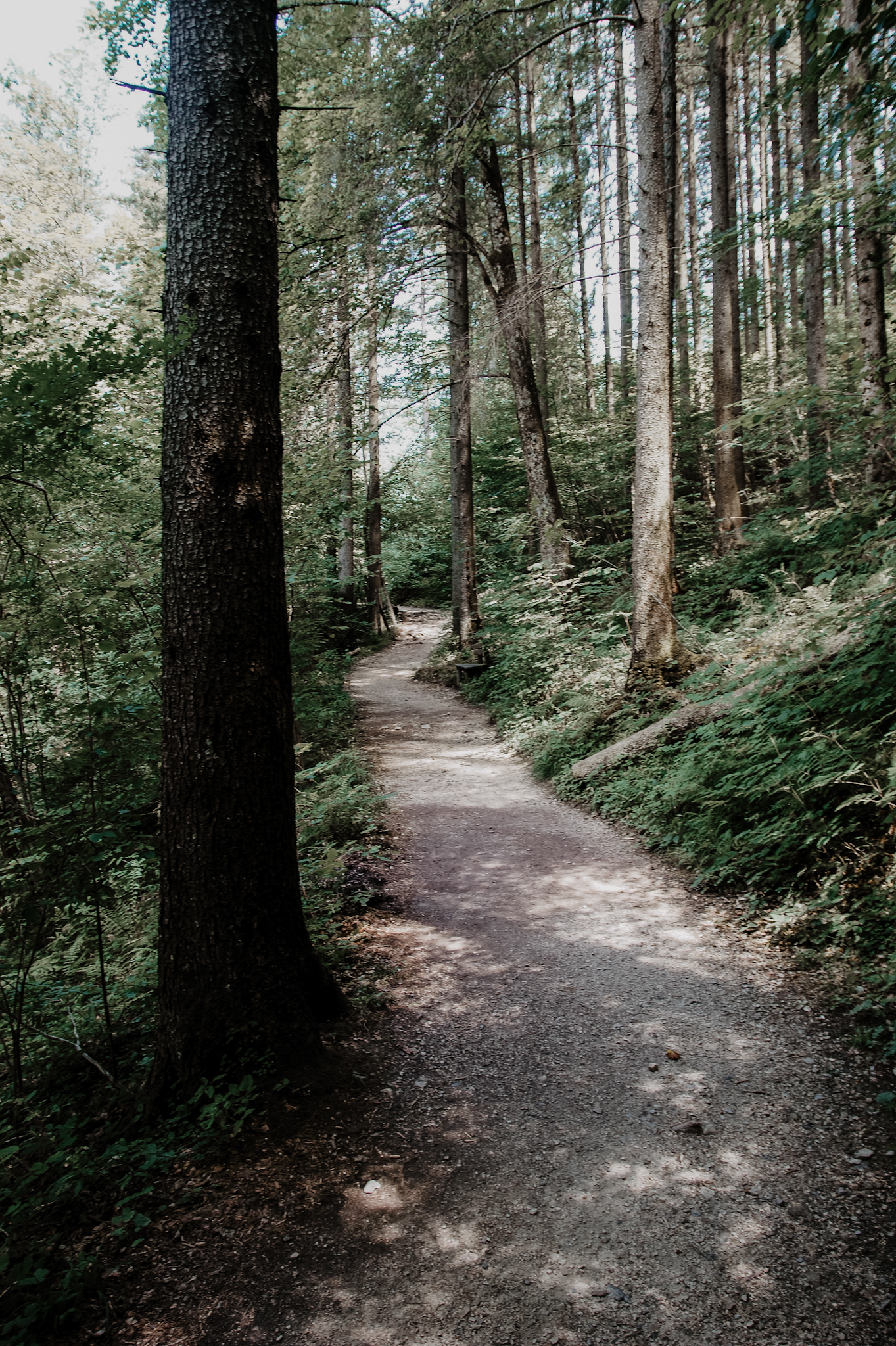 Lunz am See Wanderung zum Mittersee