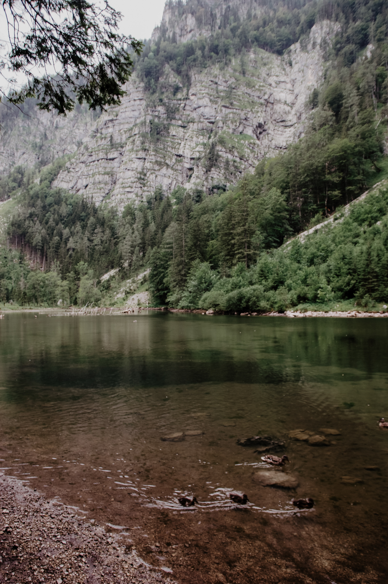 Lunz am See Wanderung zum Mittersee