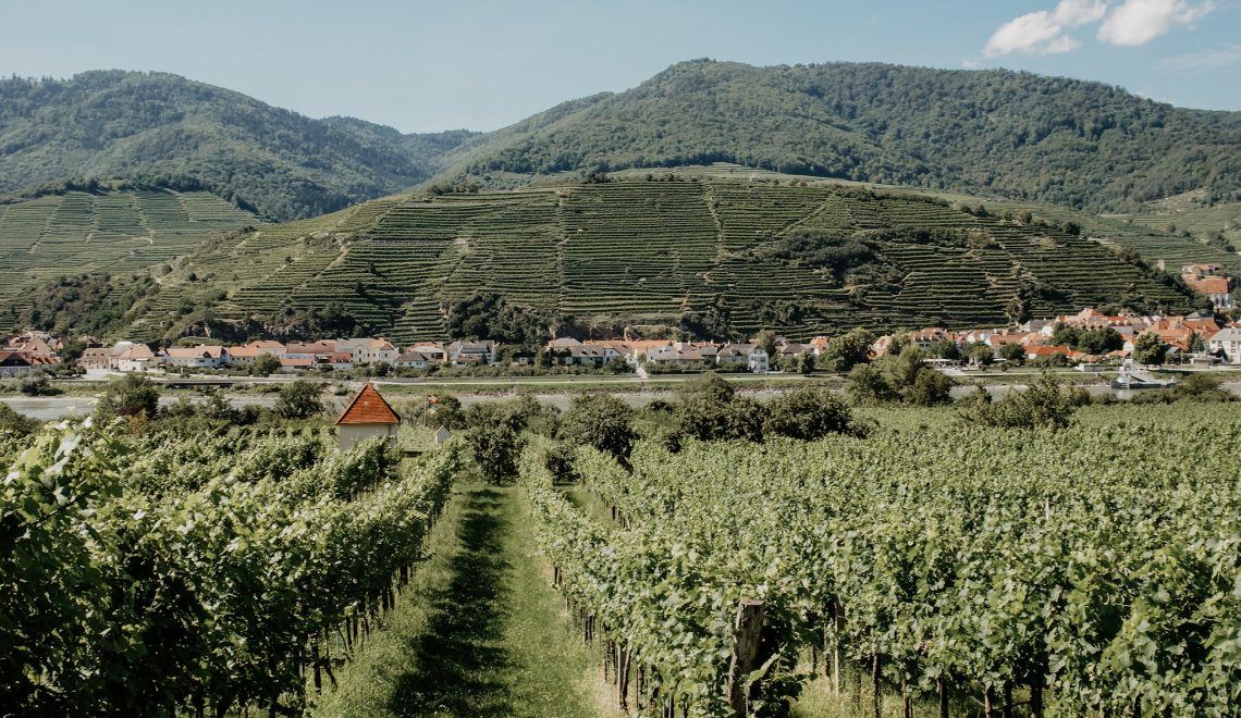 Tausendeimerberg