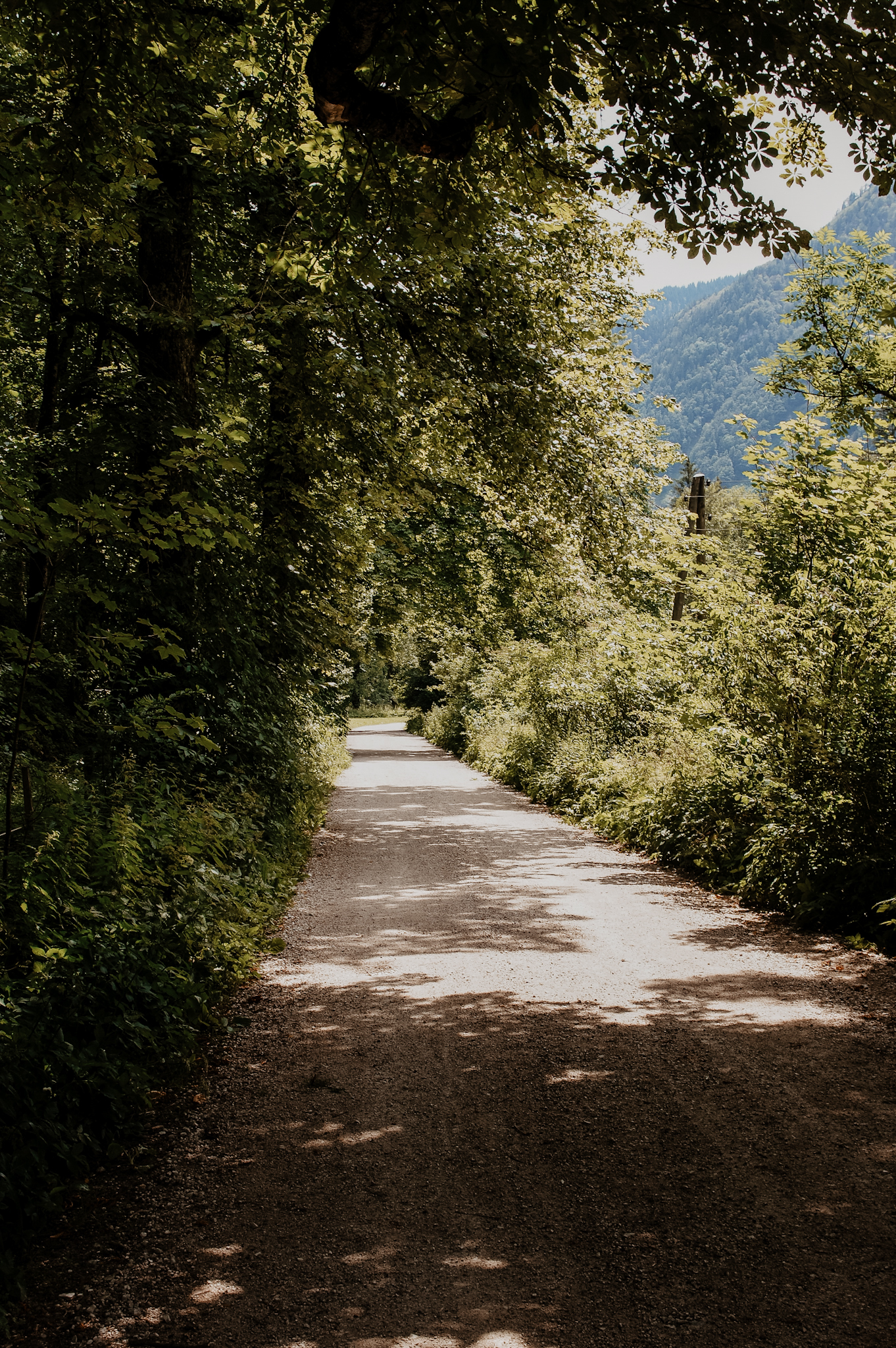 Lunz am See Wanderung zum Mittersee