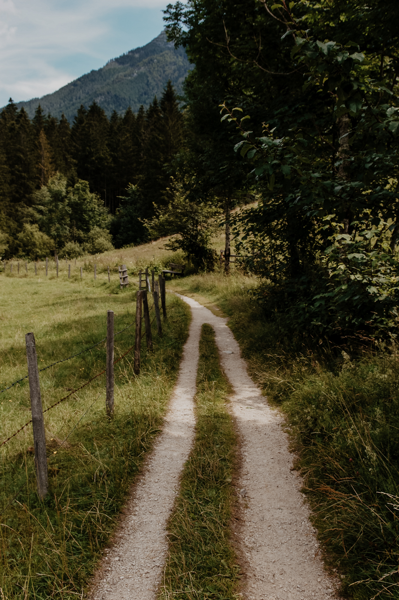 Lunz am See Wanderung zum Mittersee