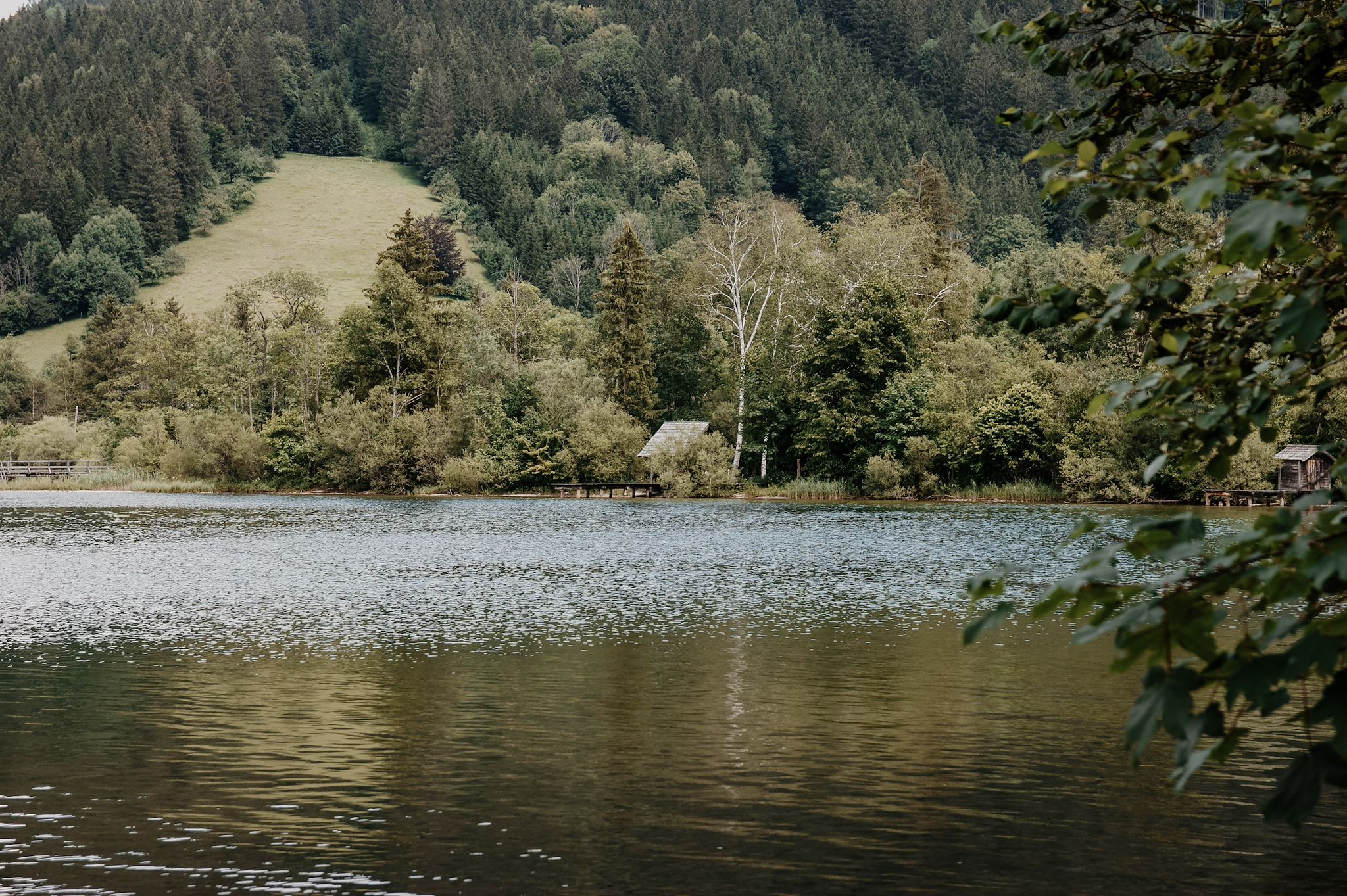 Lunz am See Wanderung zum Mittersee