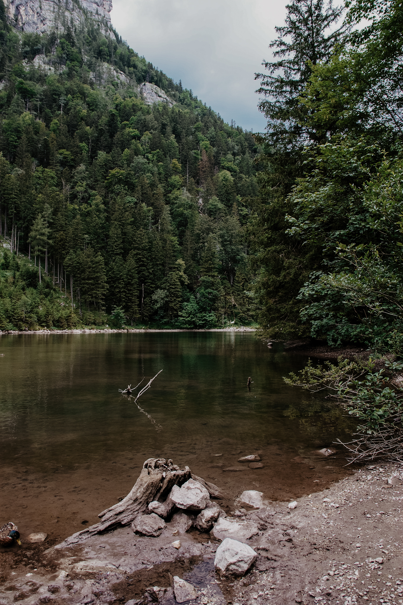 Lunz am See Wanderung zum Mittersee