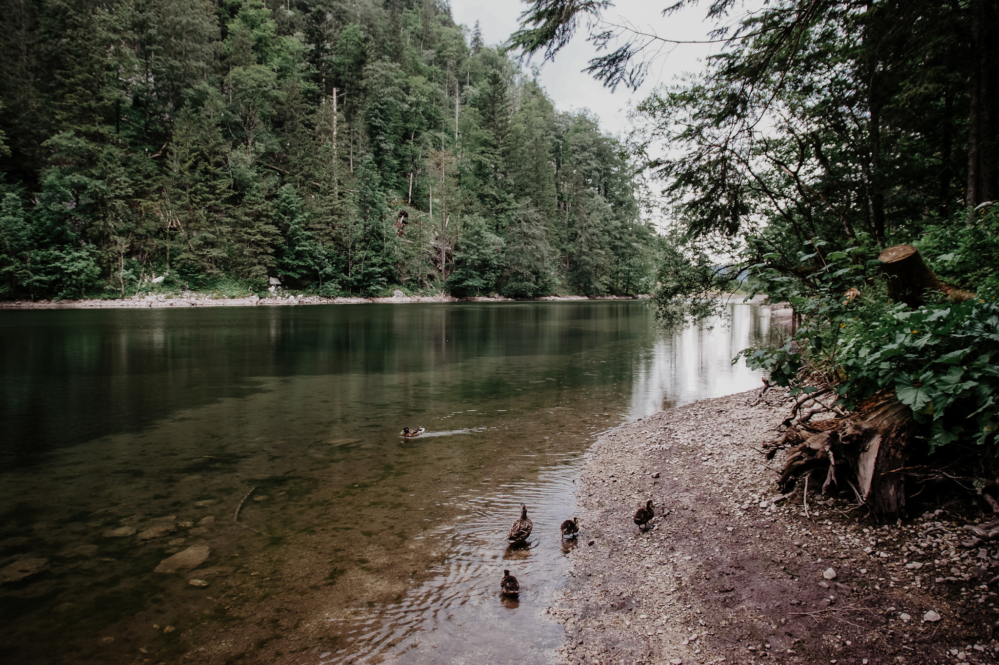 Lunz am See Wanderung zum Mittersee