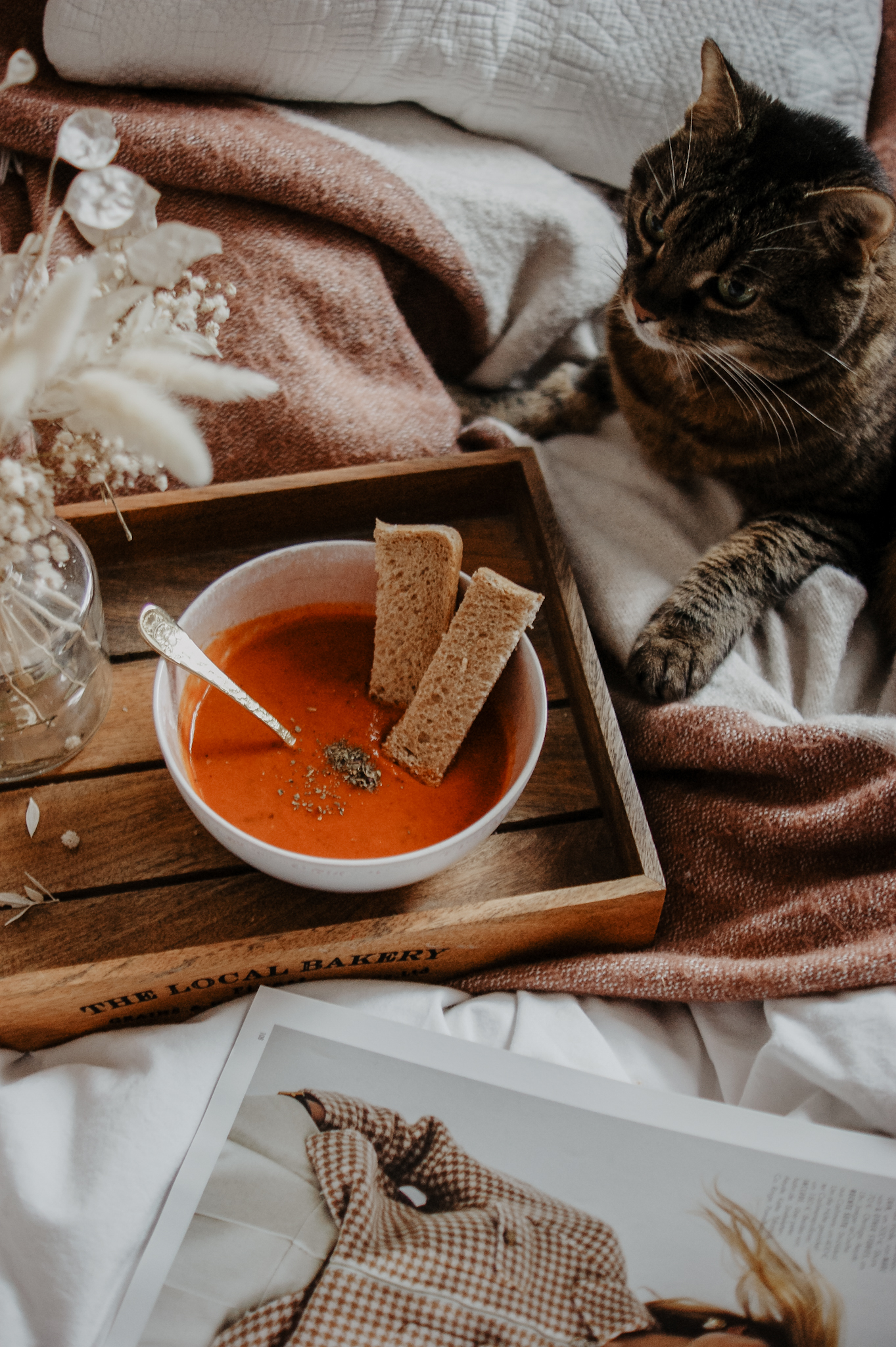 Tomatensuppe mit frischen Tomaten