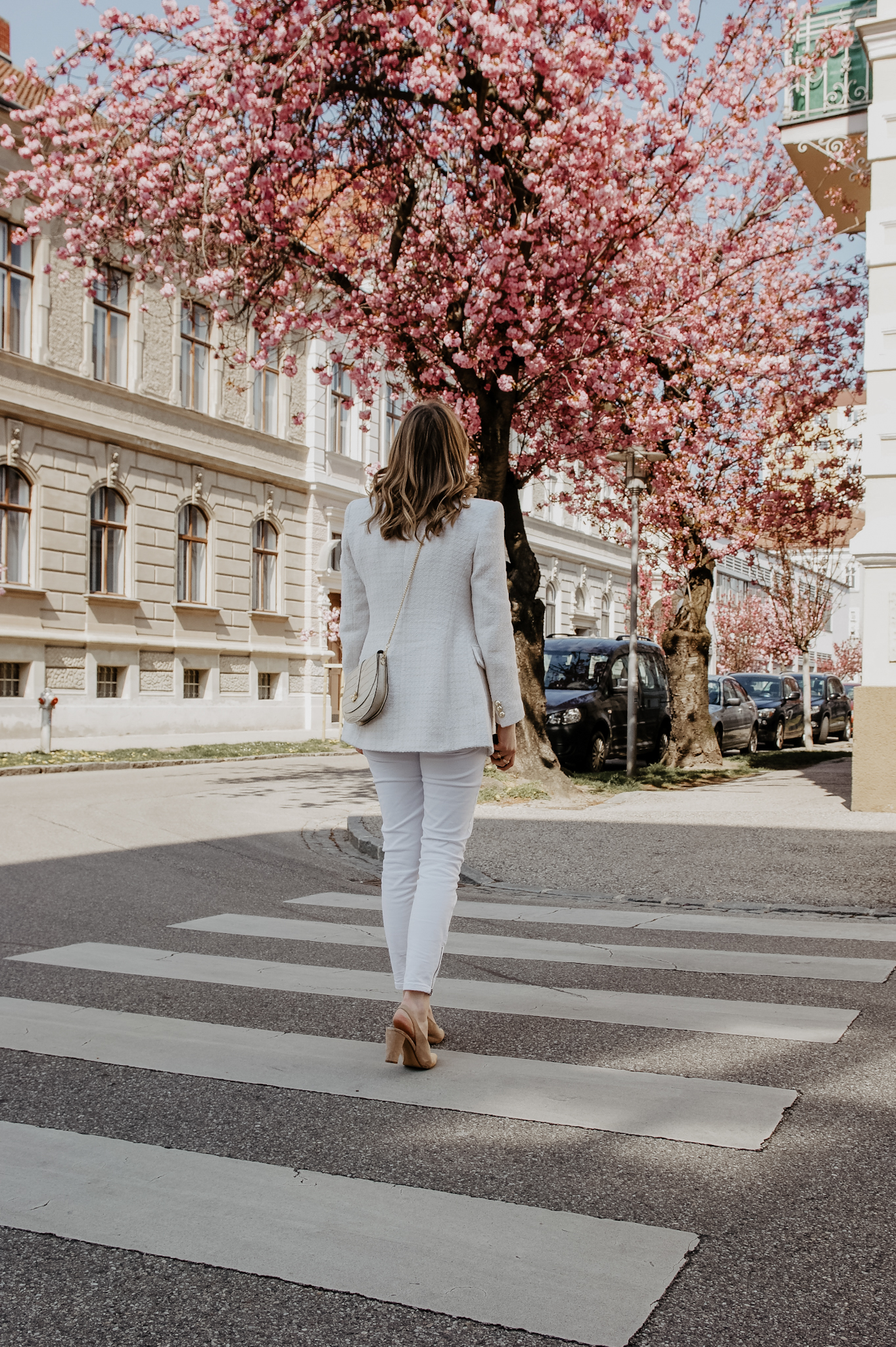 Zara Blazer, Jeans, Outfit, spring, cherry blossom