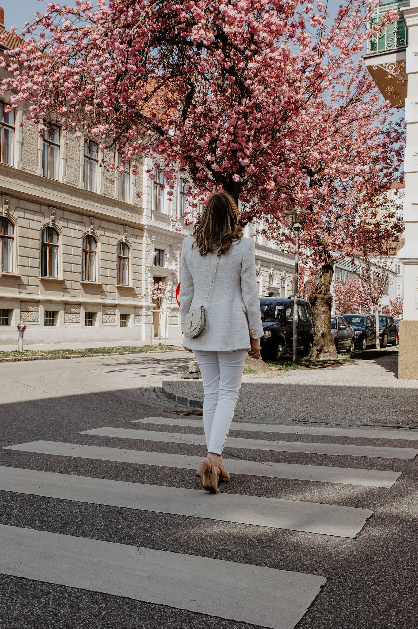 Zara Blazer, Jeans, Outfit, spring, cherry blossom