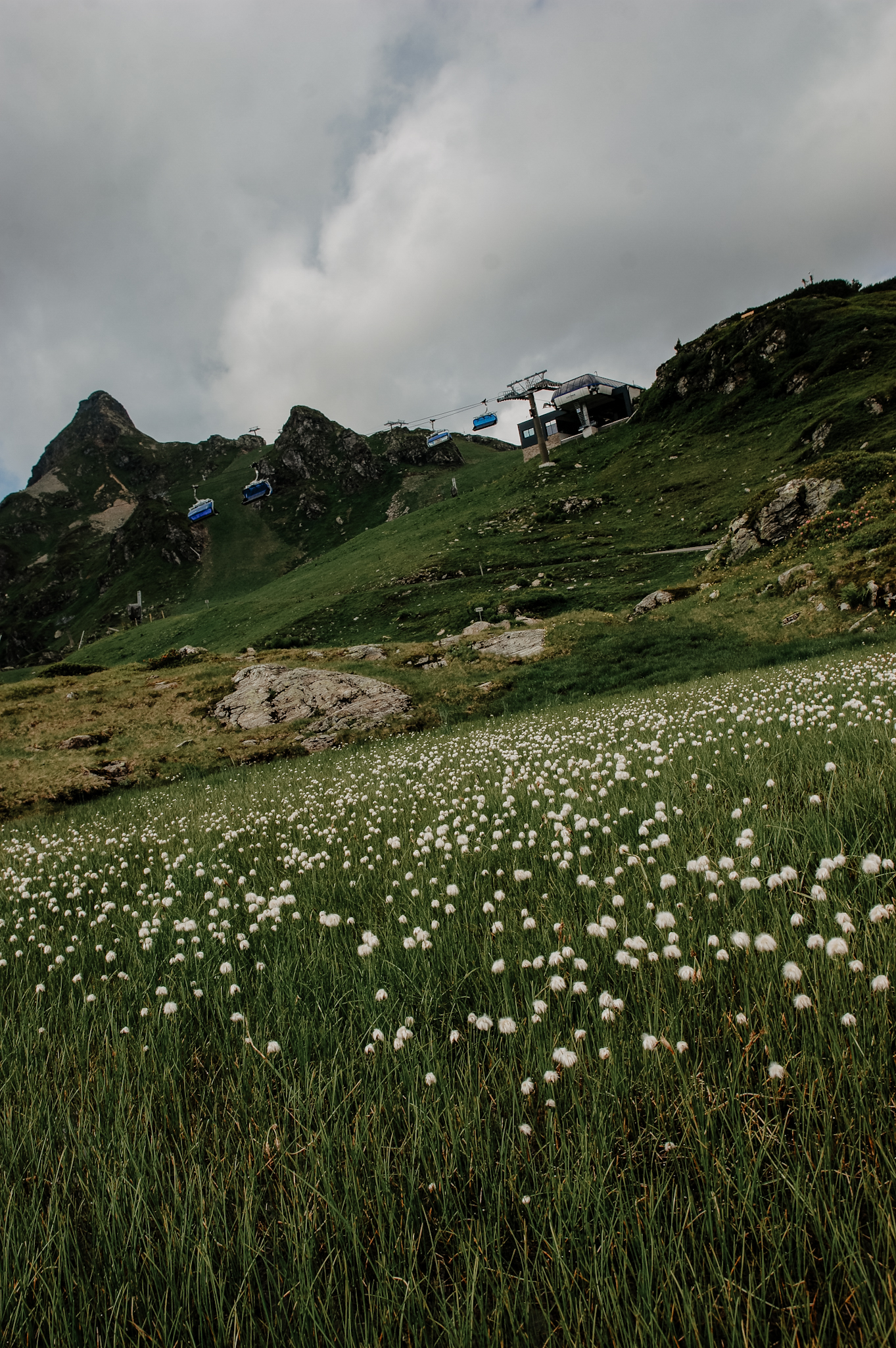 Obertauern, Wanderung, 3 Seen, Wollgras