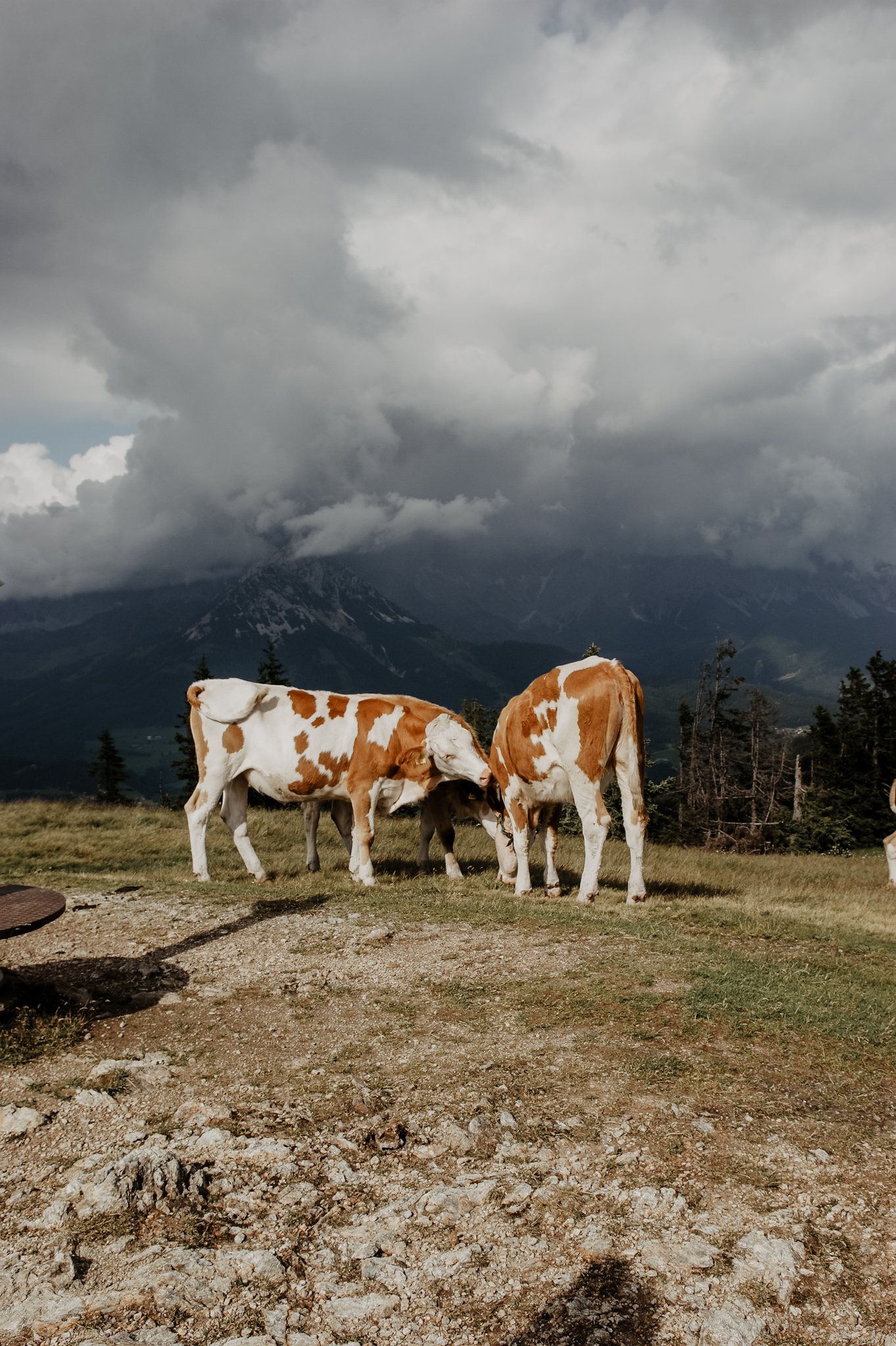 Rossbrand Radstadt Wanderung