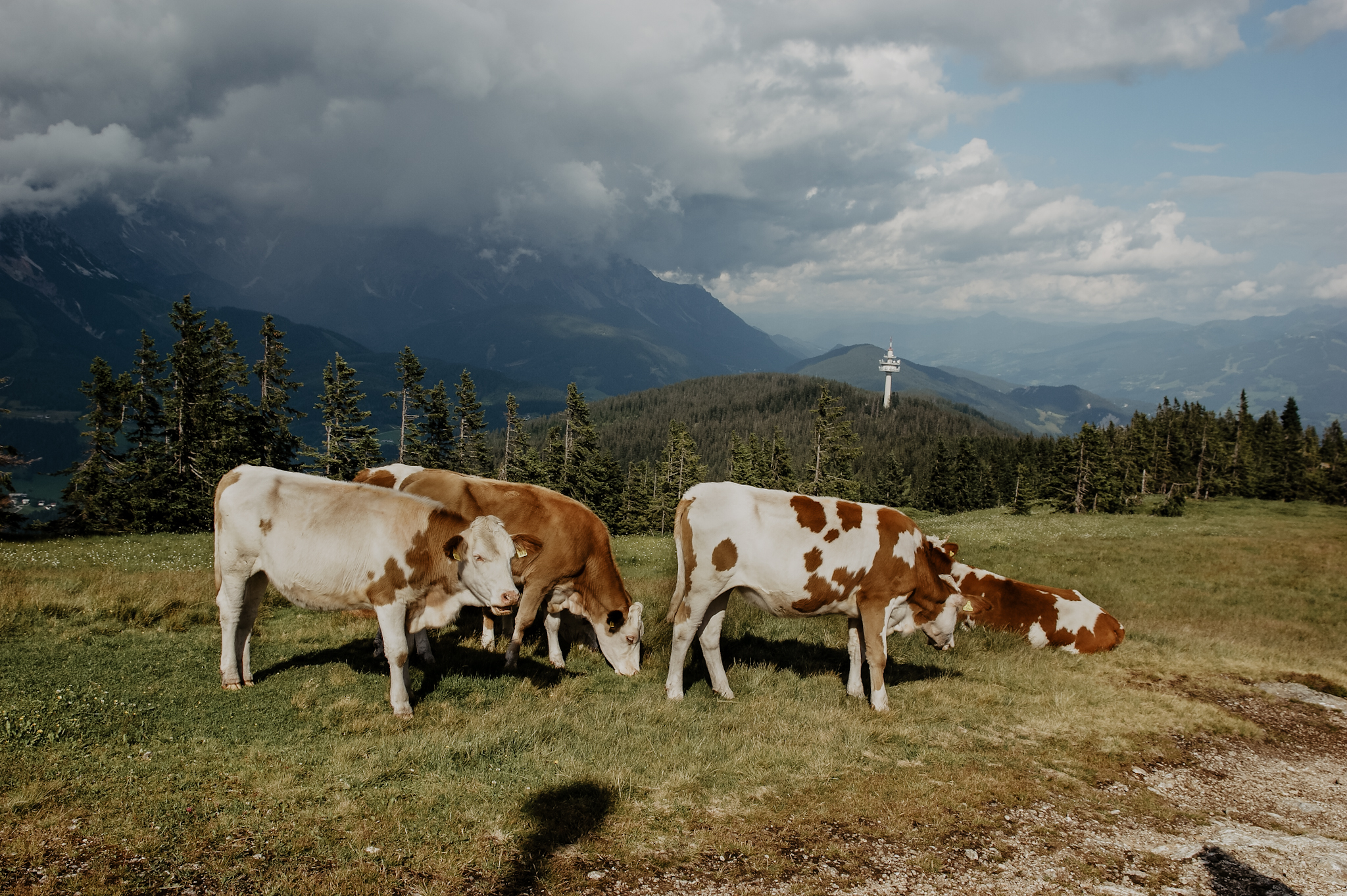 Rossbrand Radstadt Wanderung