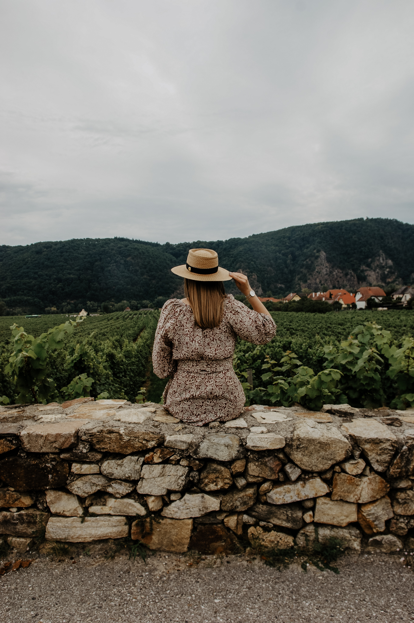 Herbstkleid, Wachau, Loiben, Ausflug, Weingärten