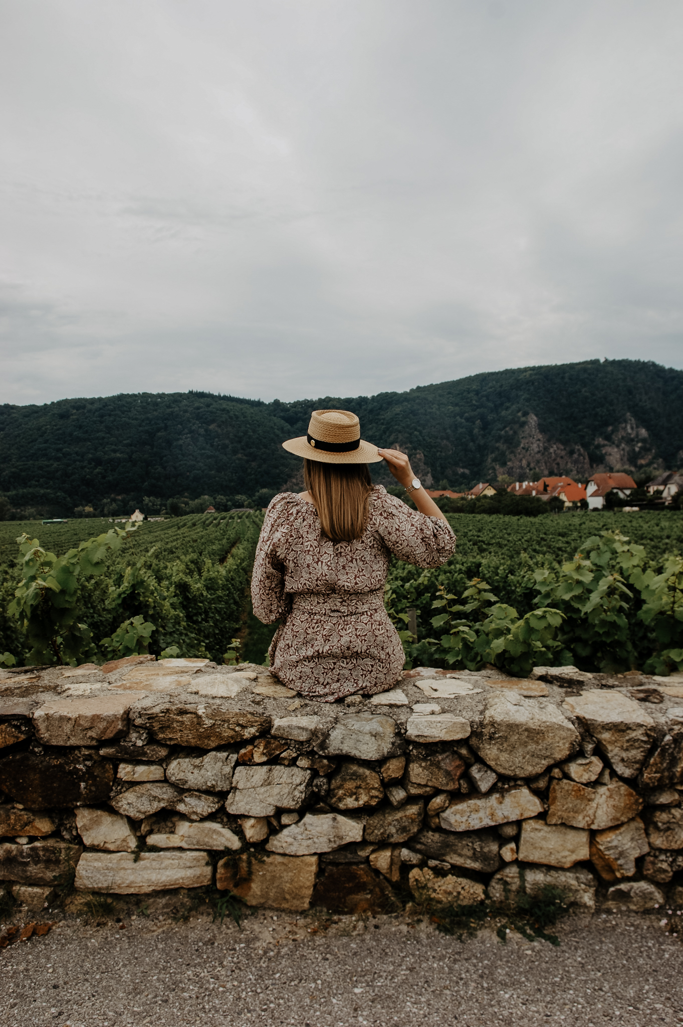 Herbstkleid, Wachau, Loiben, Ausflug, Weingärten