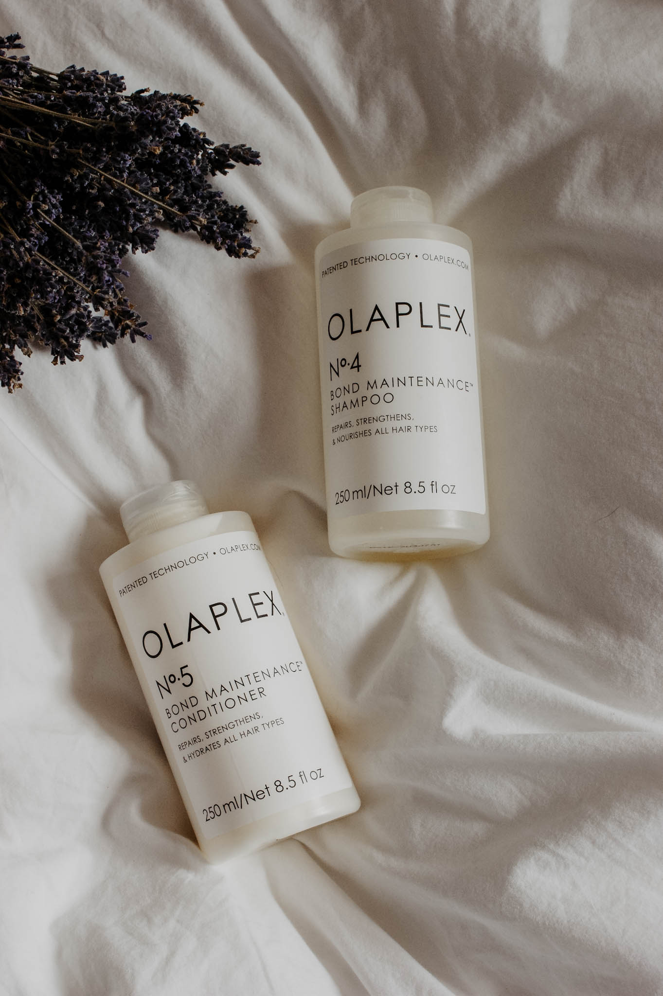 Olaplex Shampoo Conditioner Review Testbericht