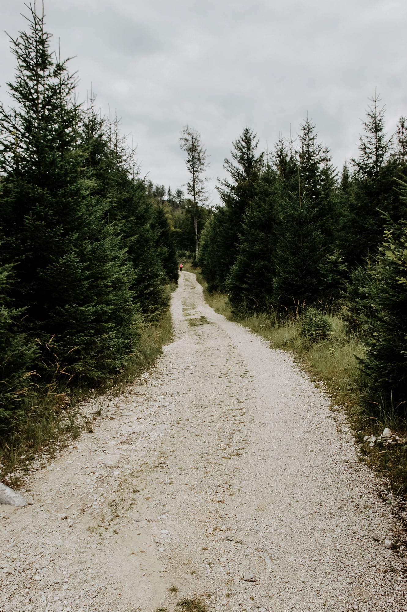 Almsee-Almtal-Wanderung