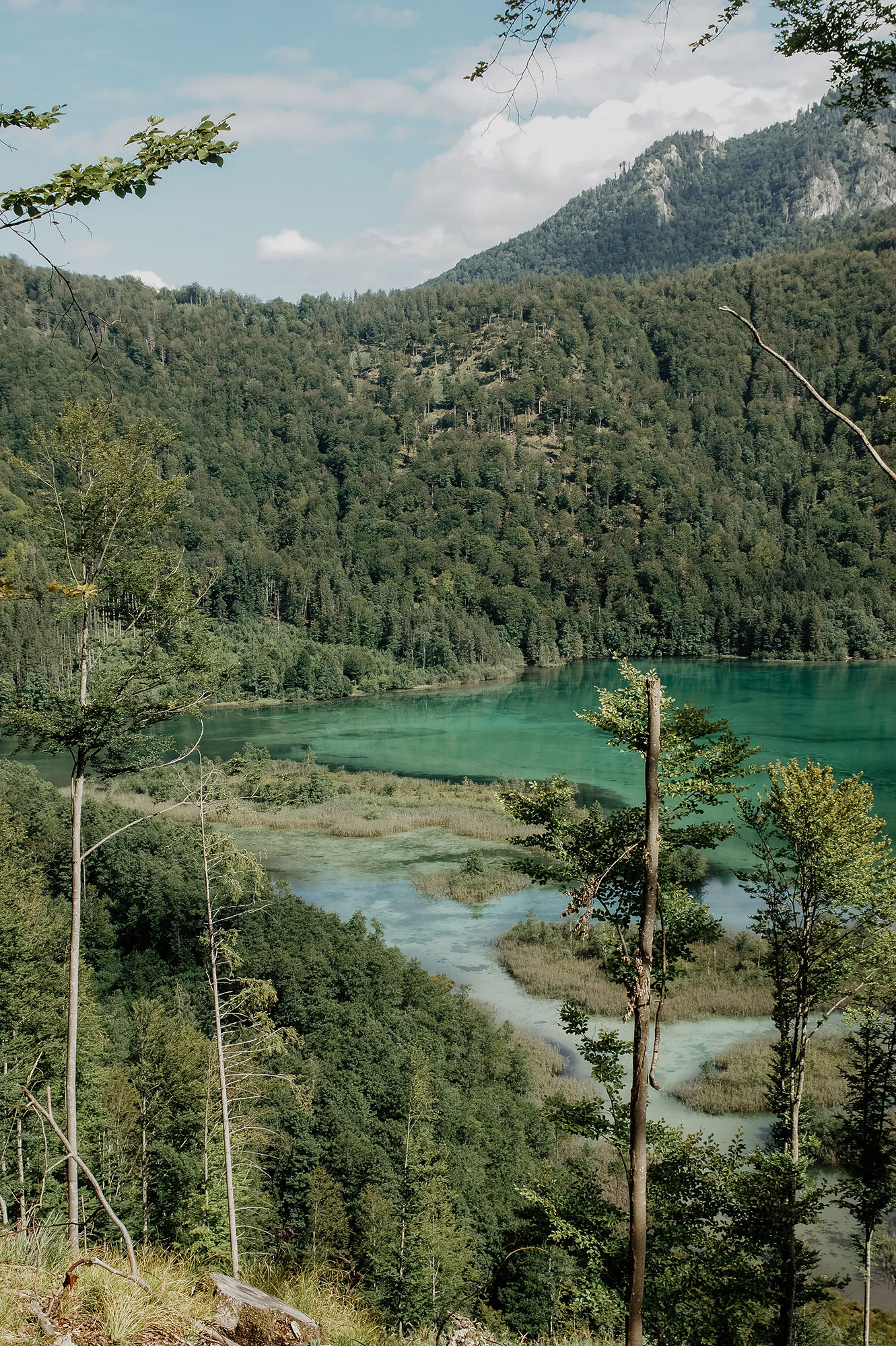 Almsee-Almtal-Wanderung