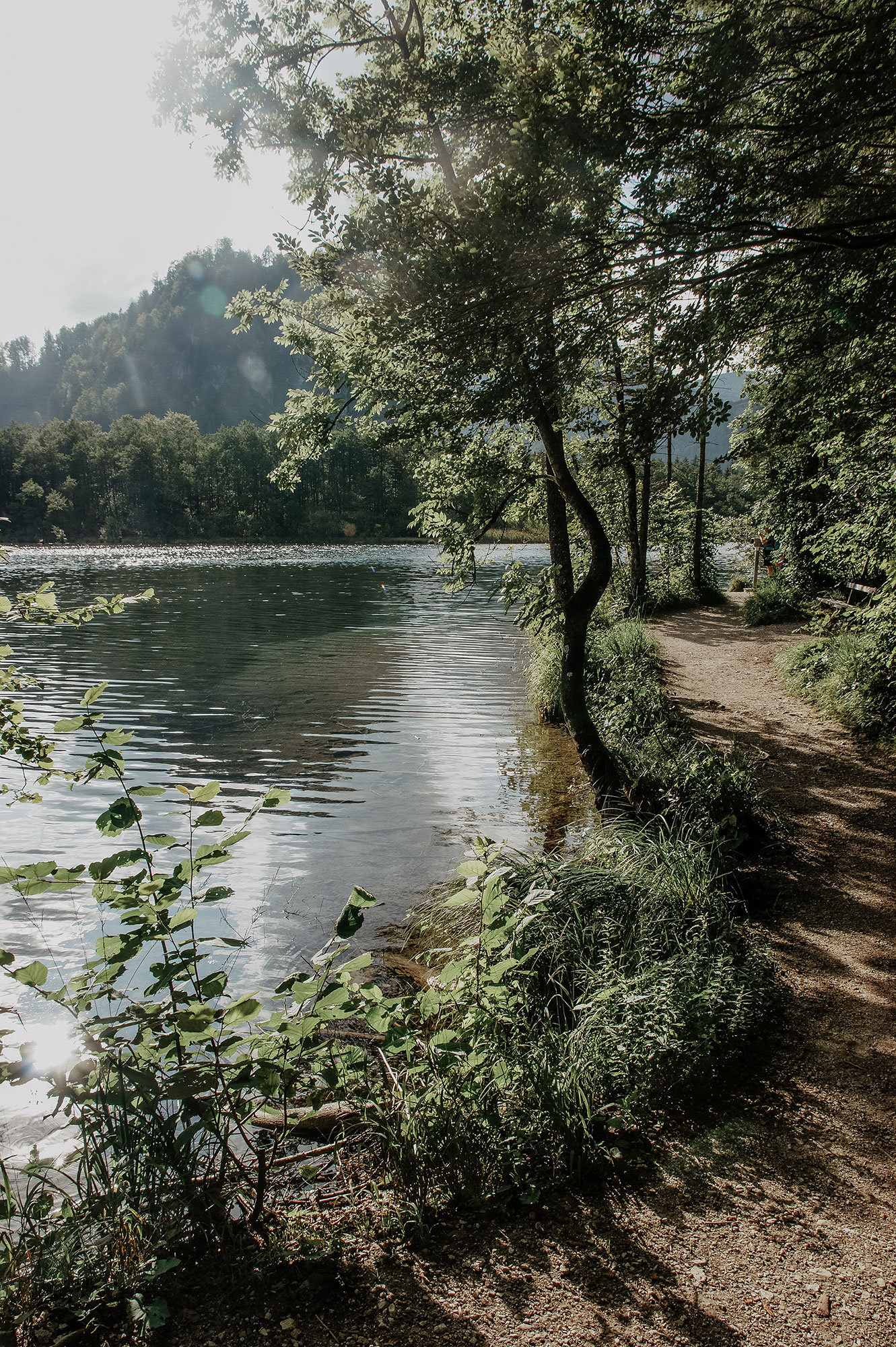 Almsee-Almtal-Wanderung