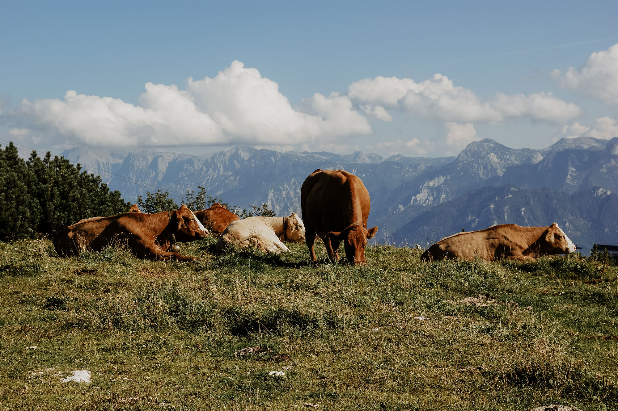 Feuerkogel-Europakreuz-Wanderung-Traunsee-Ebensee