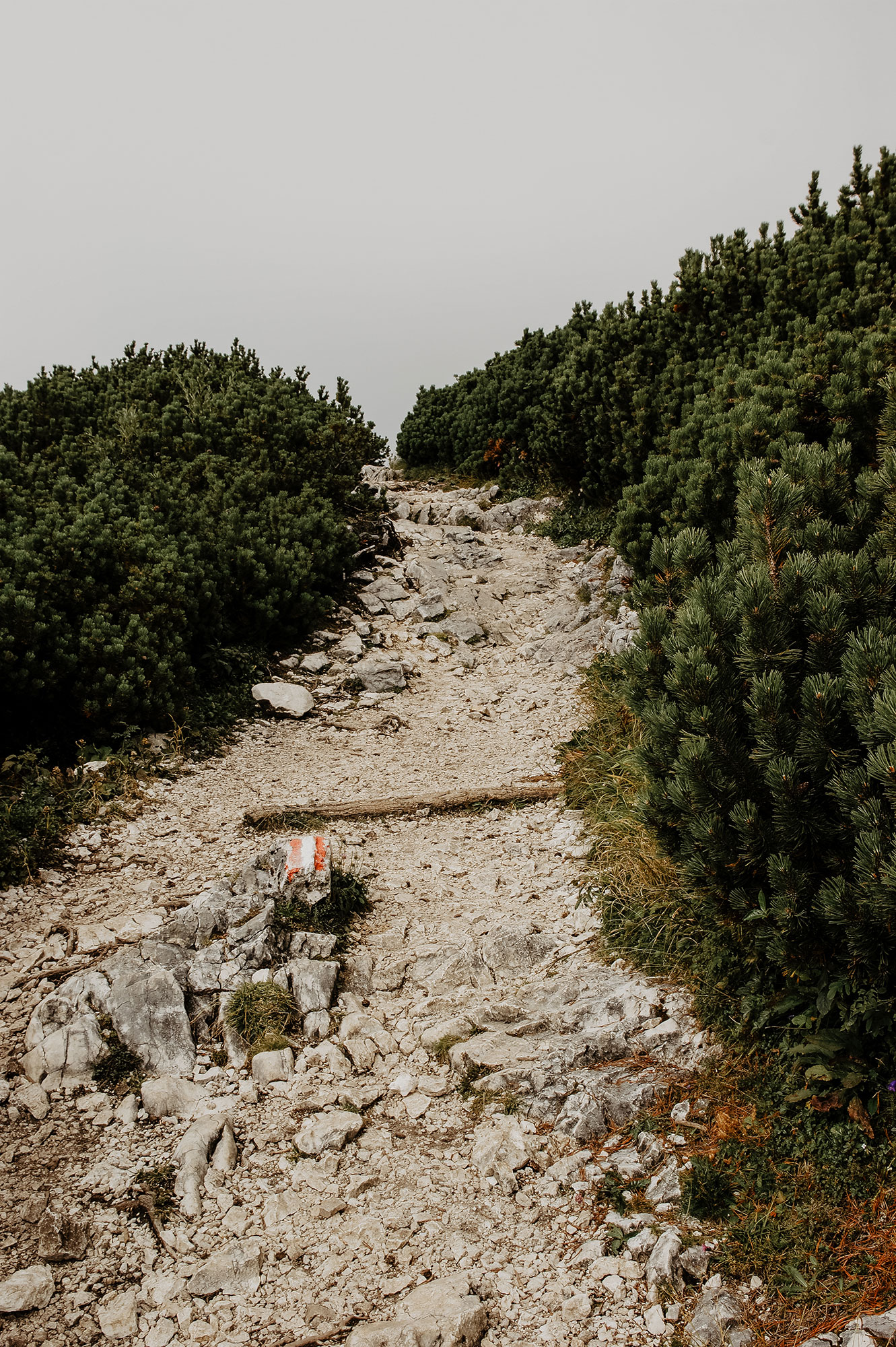 Feuerkogel-Europakreuz-Wanderung-Traunsee-Ebensee