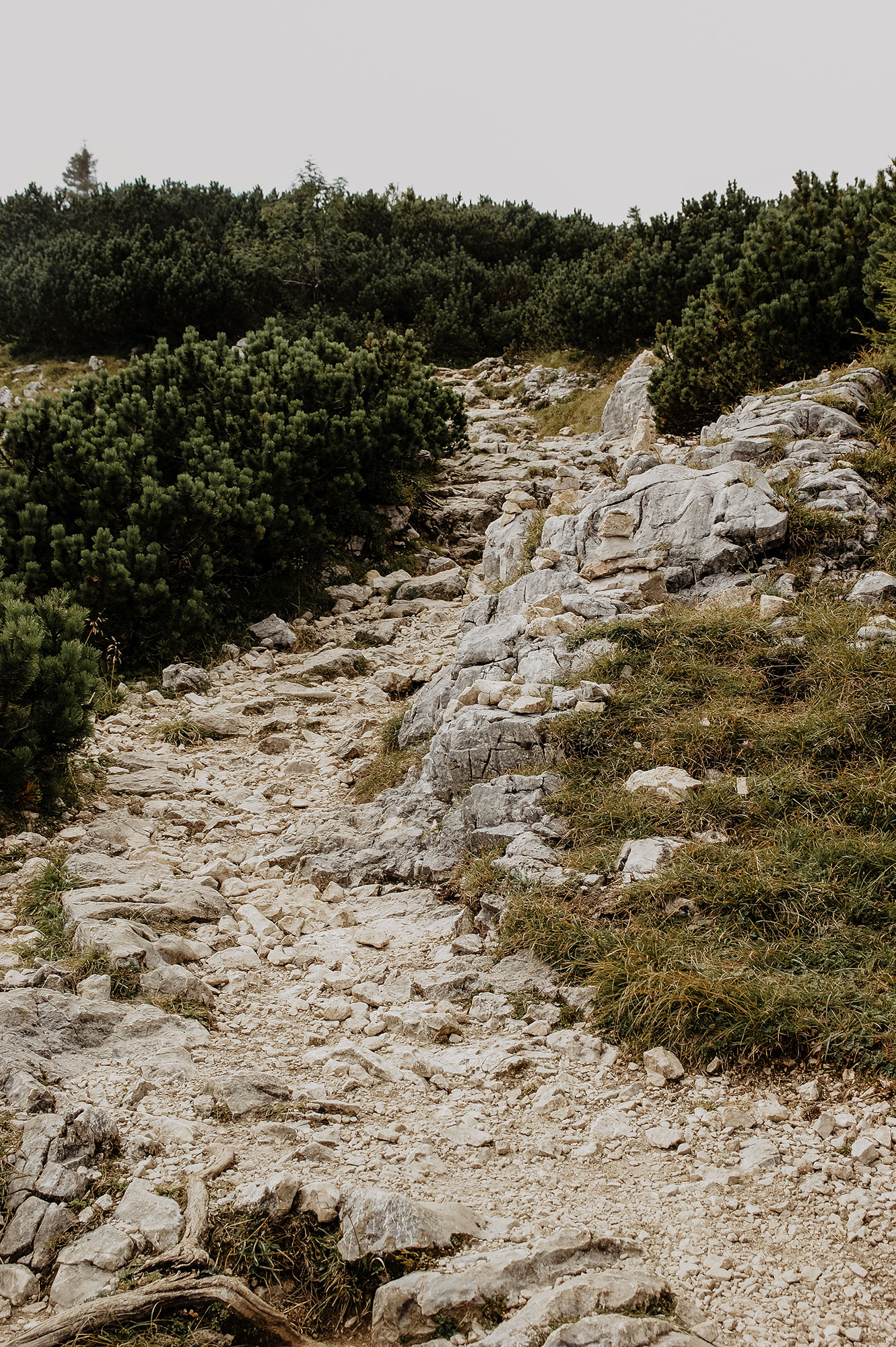 Feuerkogel-Europakreuz-Wanderung-Traunsee-Ebensee