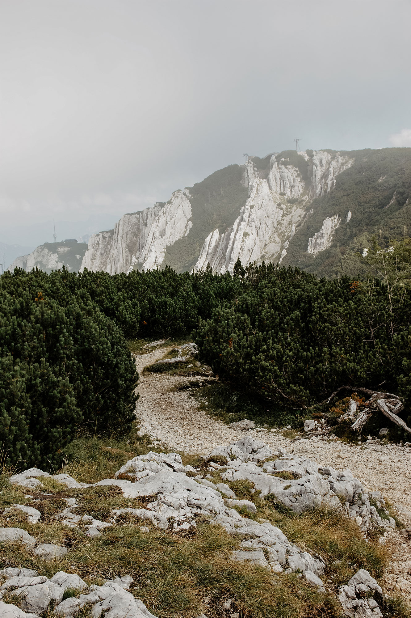 Feuerkogel-Europakreuz-Wanderung-Traunsee-Ebensee