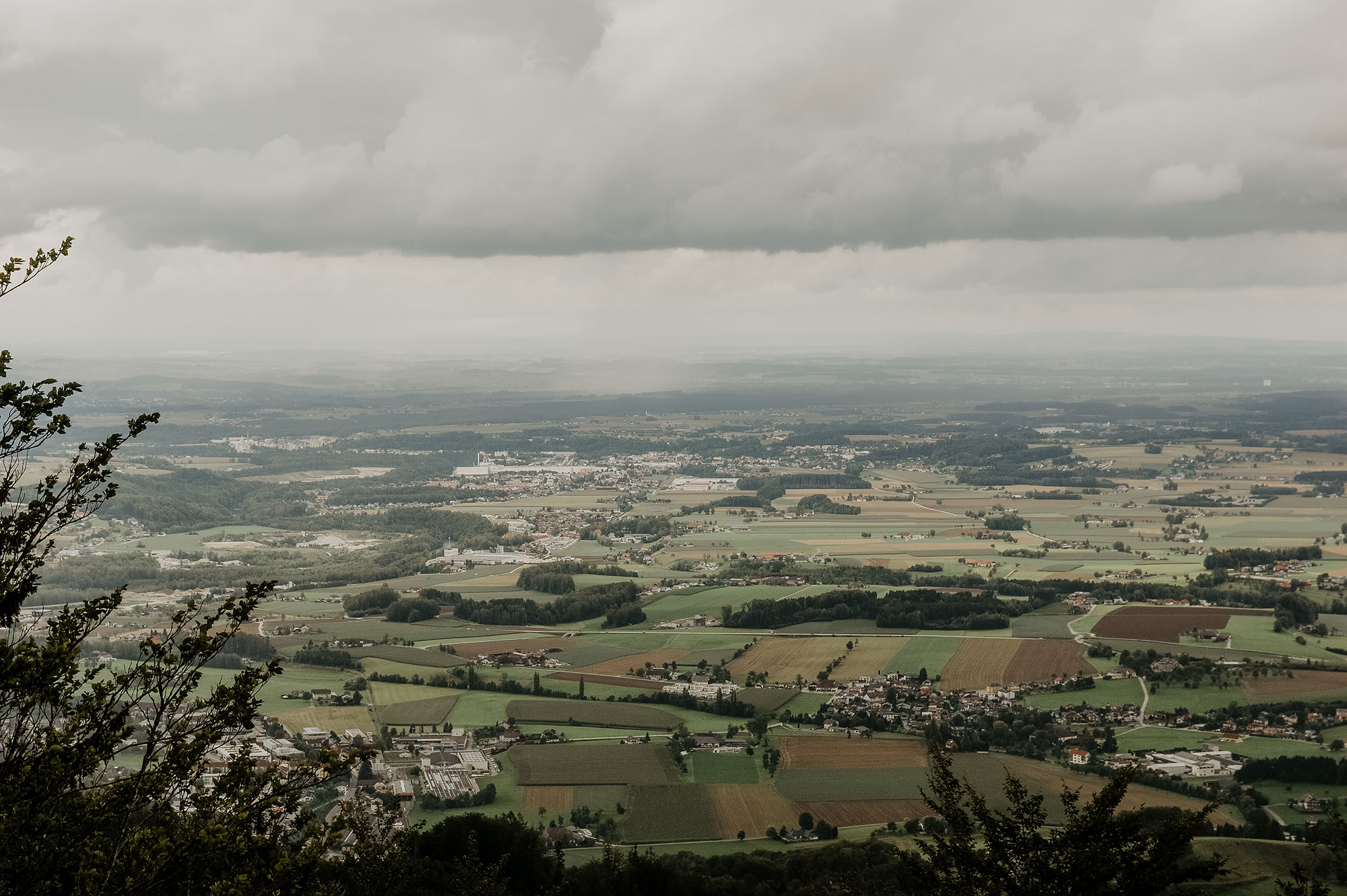 Gmunden-Grünberg-Baumwipfelpfad