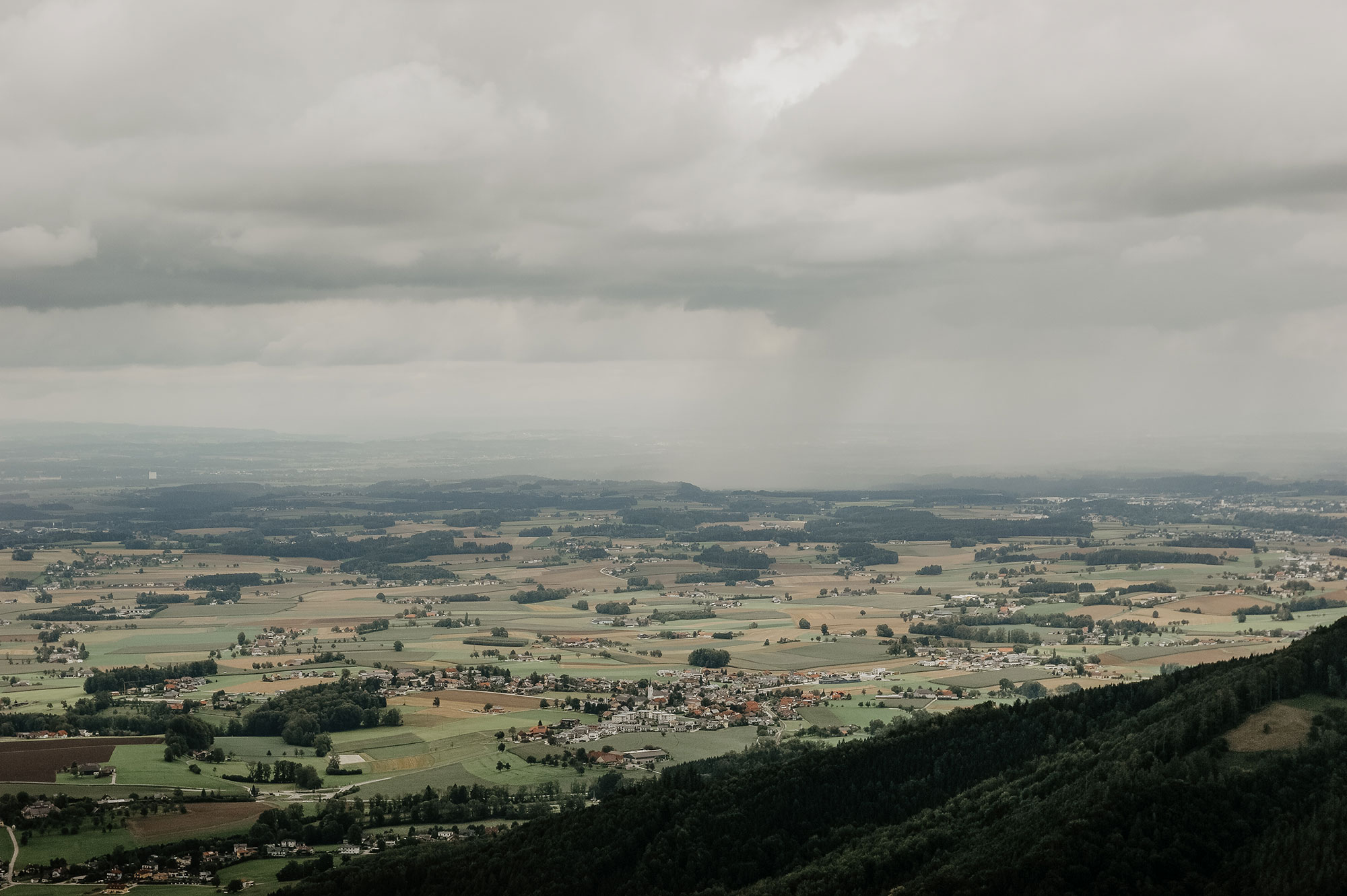 Gmunden-Grünberg-Baumwipfelpfad