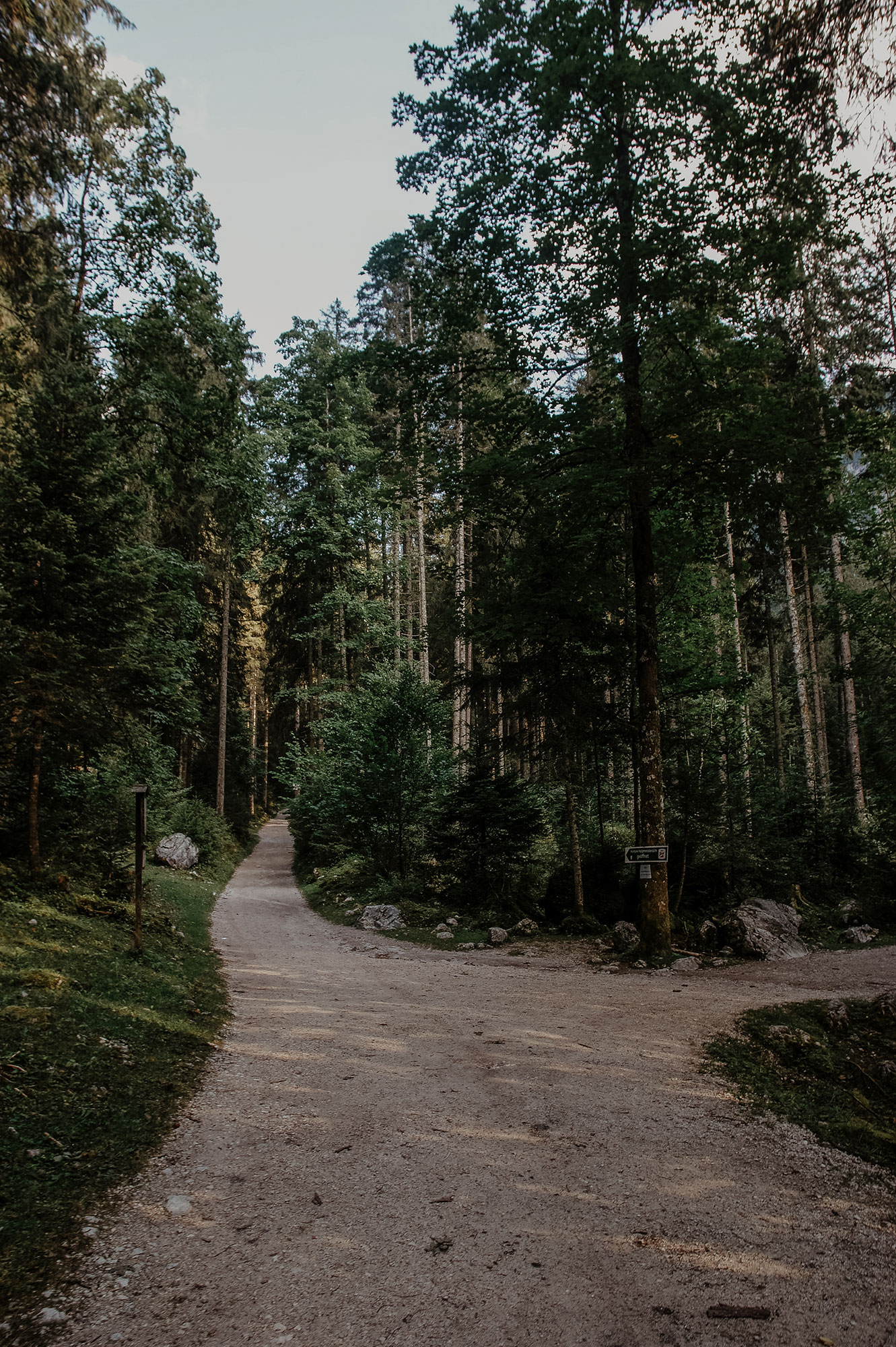 Gosausee-Wanderung