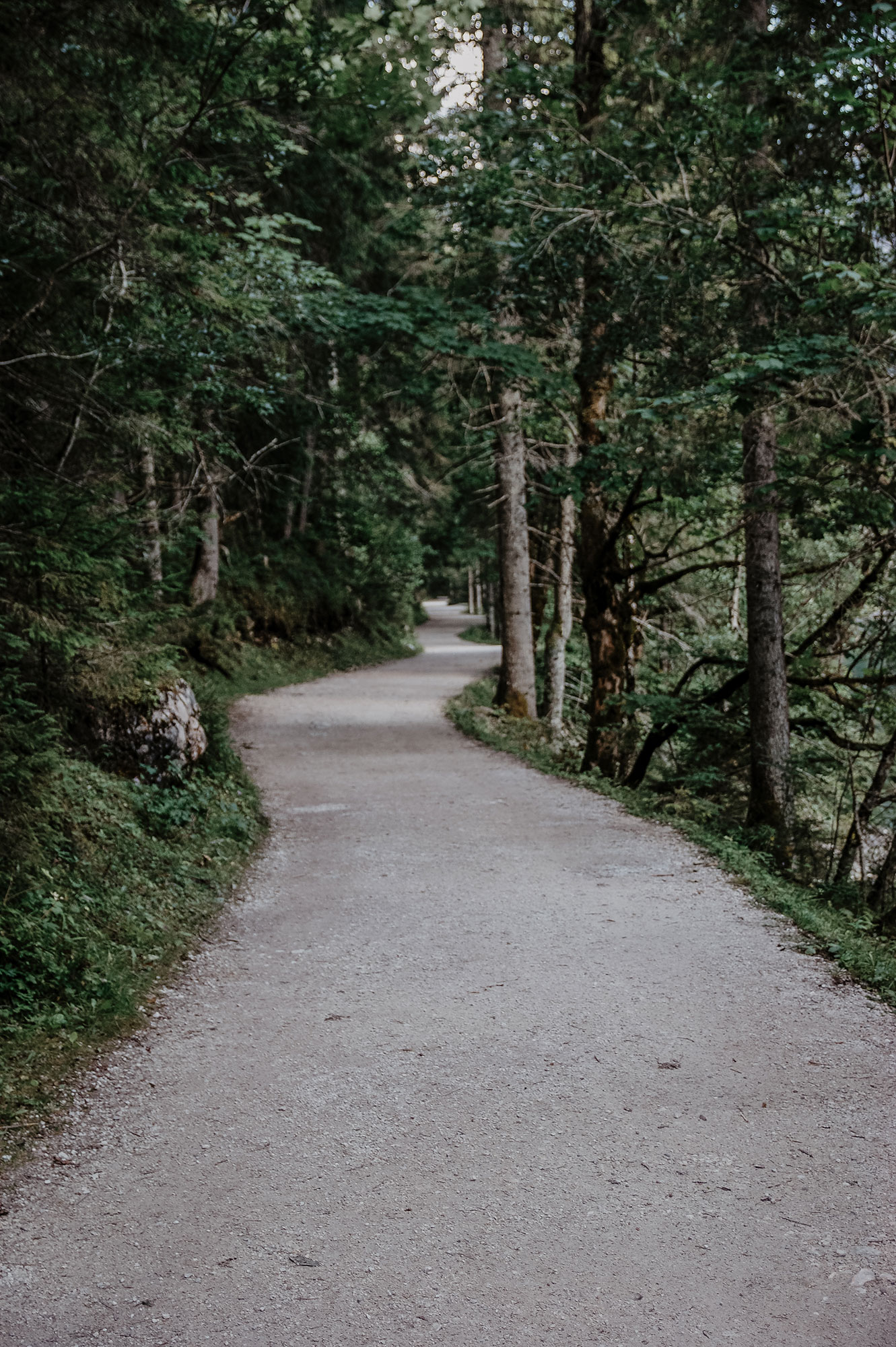 Gosausee-Wanderung