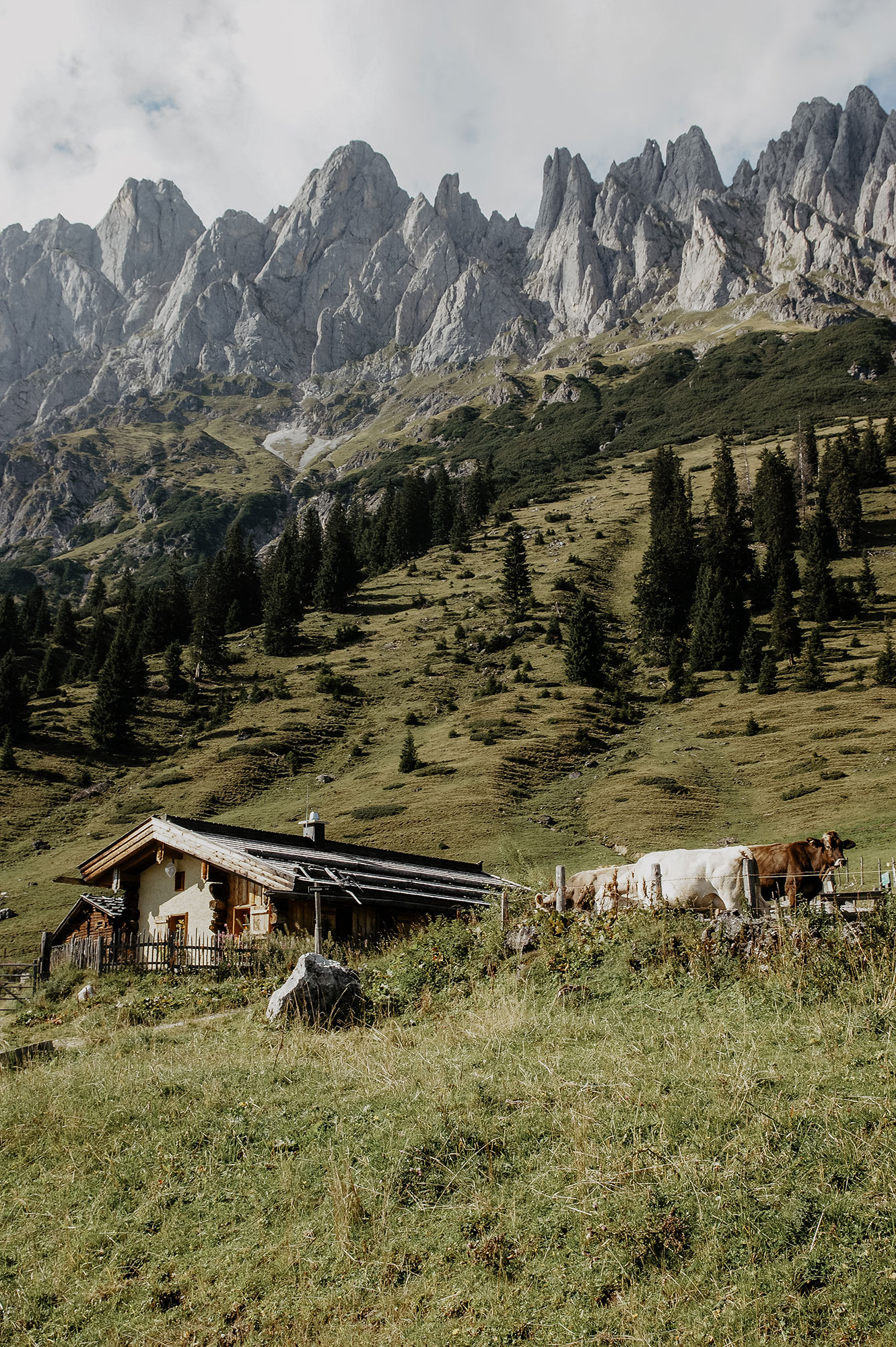 Hochkönig-Hochkeil-Wanderung-Mandelwände