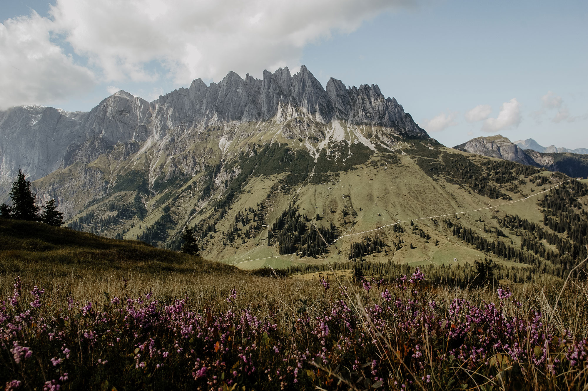 Hochkönig-Hochkeil-Wanderung-Mandelwände (72)