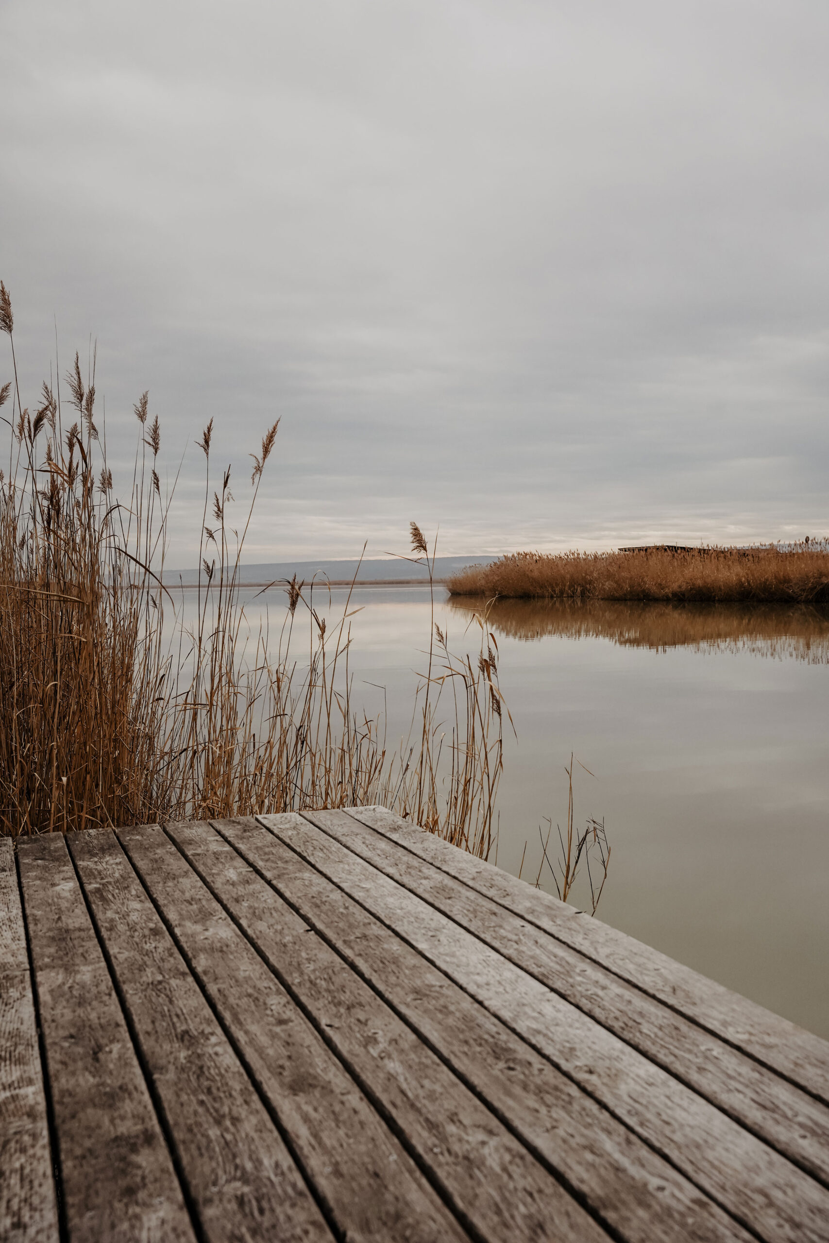 Neusiedler See, Ausflug, Reise Mörbisch am See