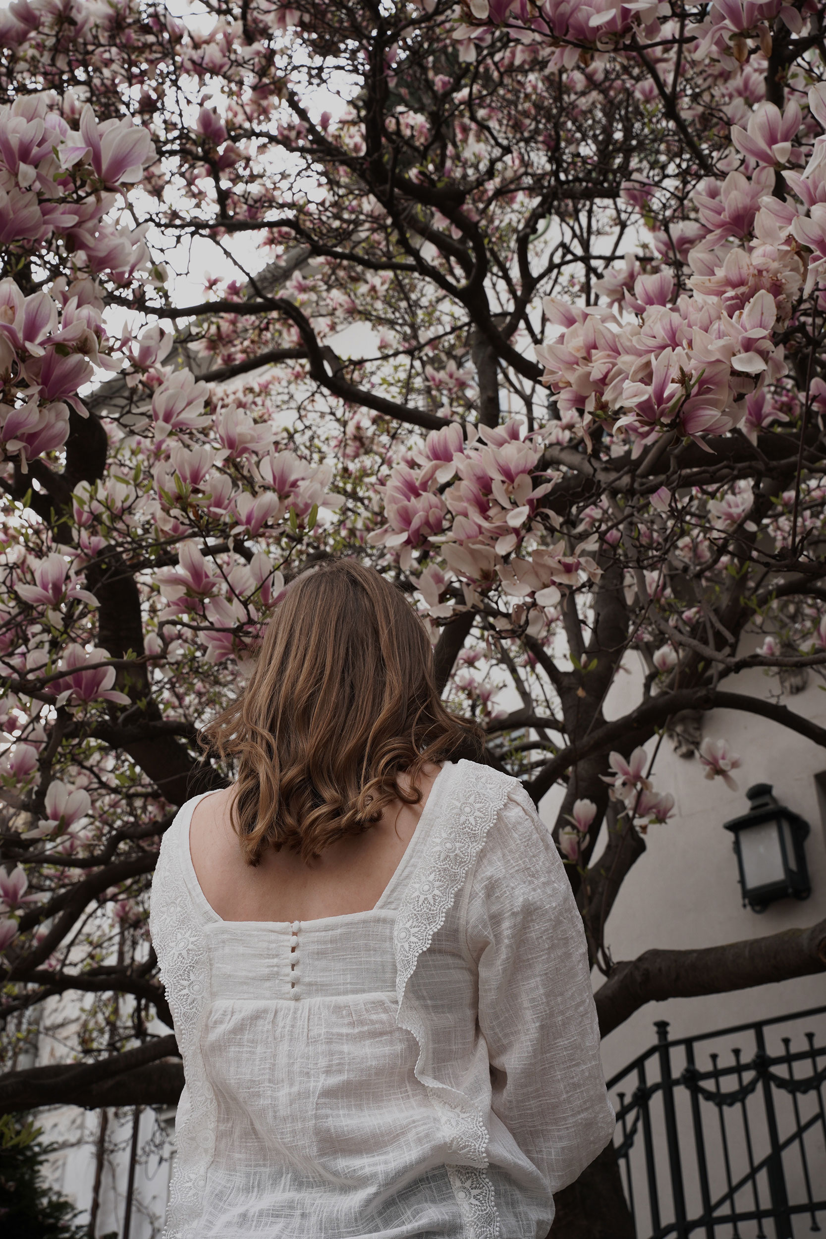 Trenchcoat Outfit, Spring, Wien, Magnolienbaum, Magnolia tree, polene bag