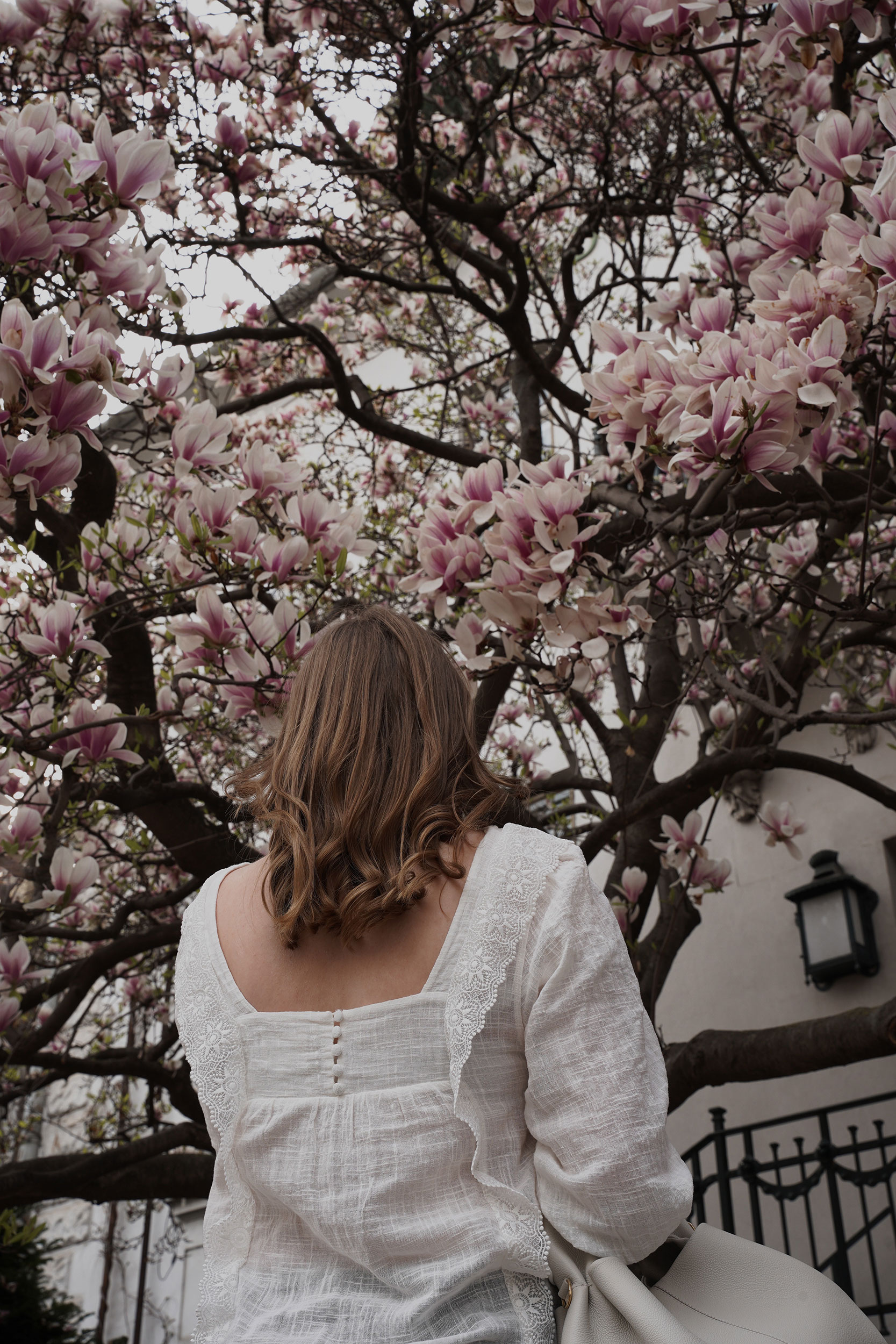 Trenchcoat Outfit, Spring, Wien, Magnolienbaum, Magnolia tree, polene bag