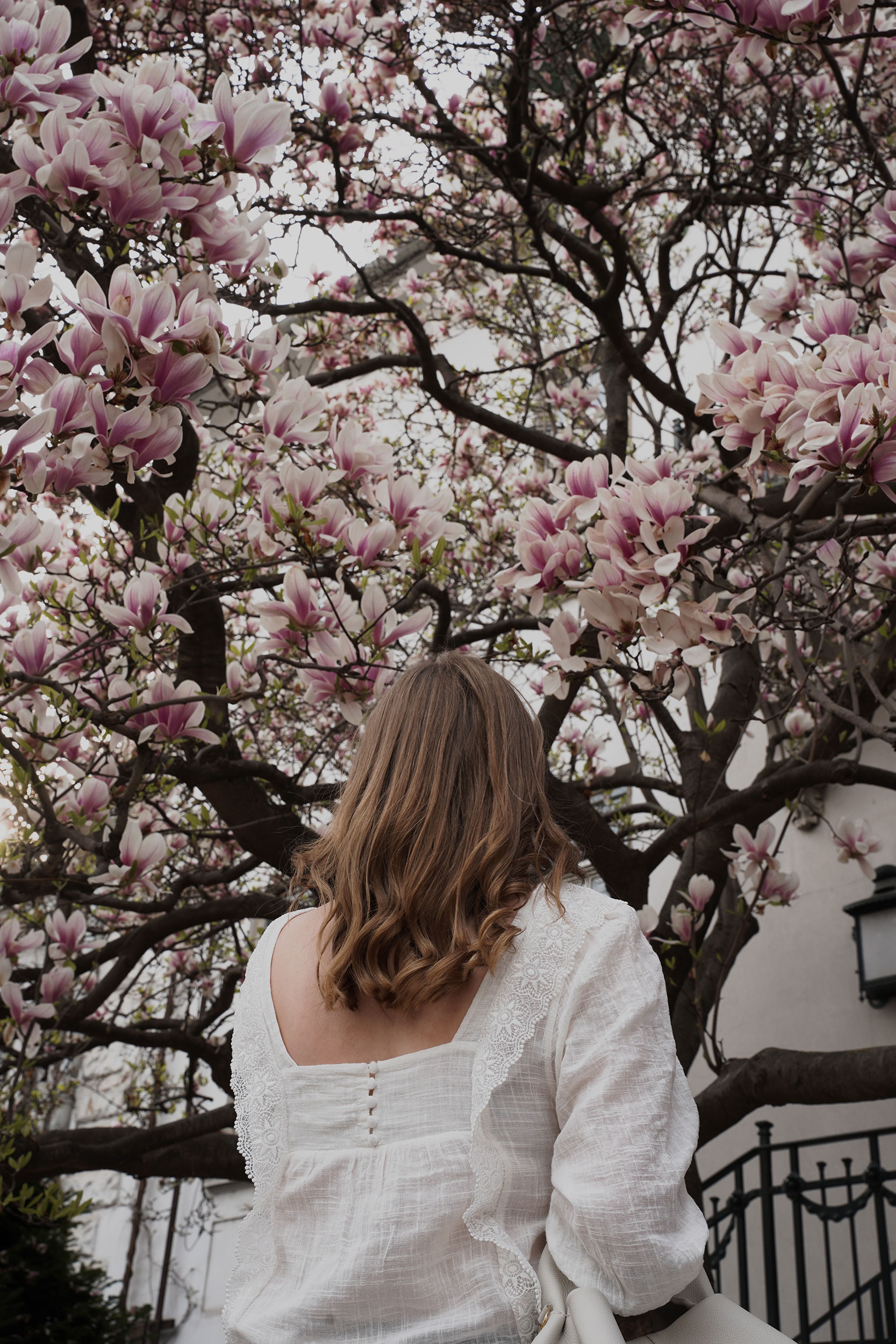 Trenchcoat Outfit, Spring, Wien, Magnolienbaum, Magnolia tree, polene bag