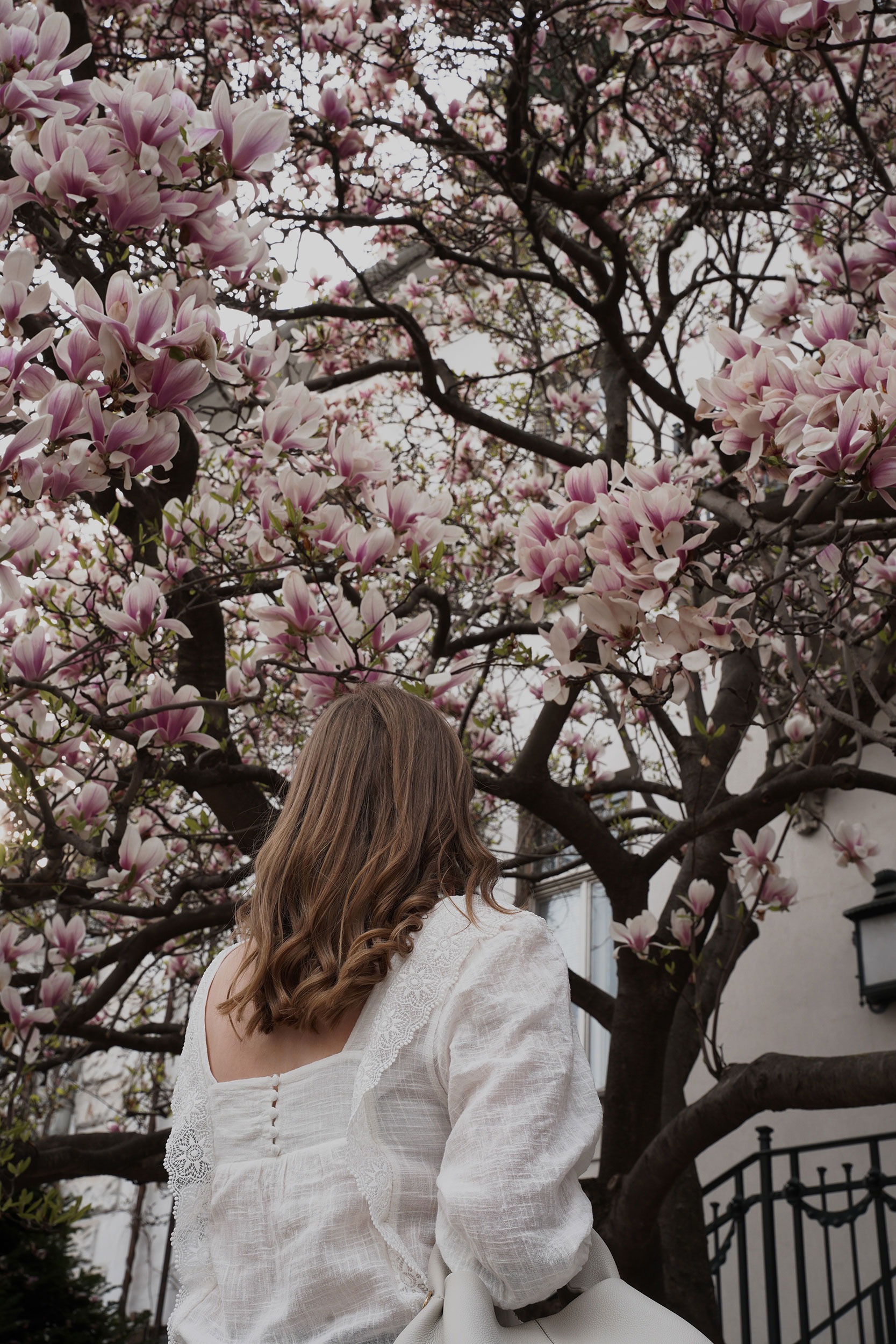 Trenchcoat Outfit, Spring, Wien, Magnolienbaum, Magnolia tree, polene bag