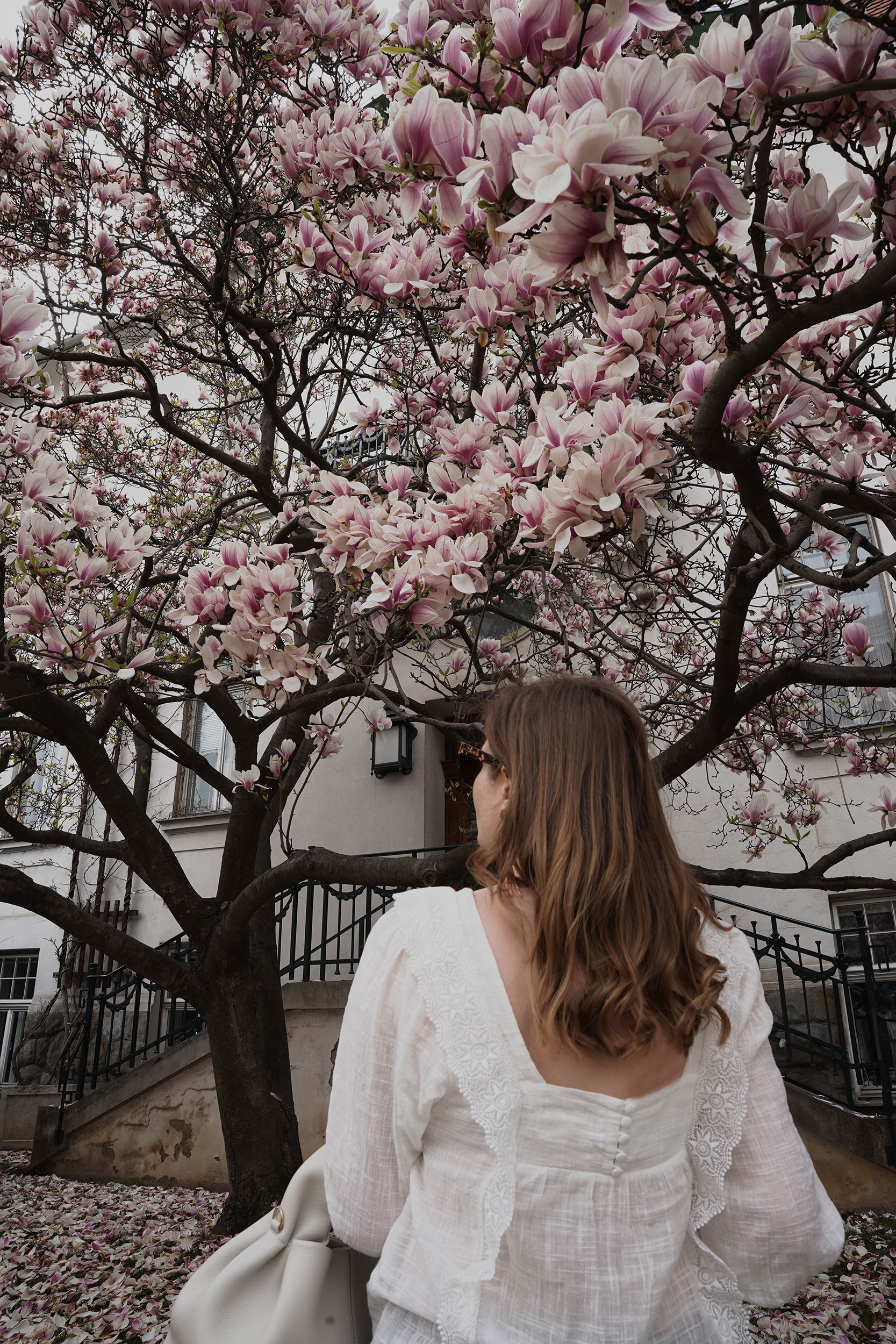 Trenchcoat Outfit, Spring, Wien, Magnolienbaum, Magnolia tree, polene bag