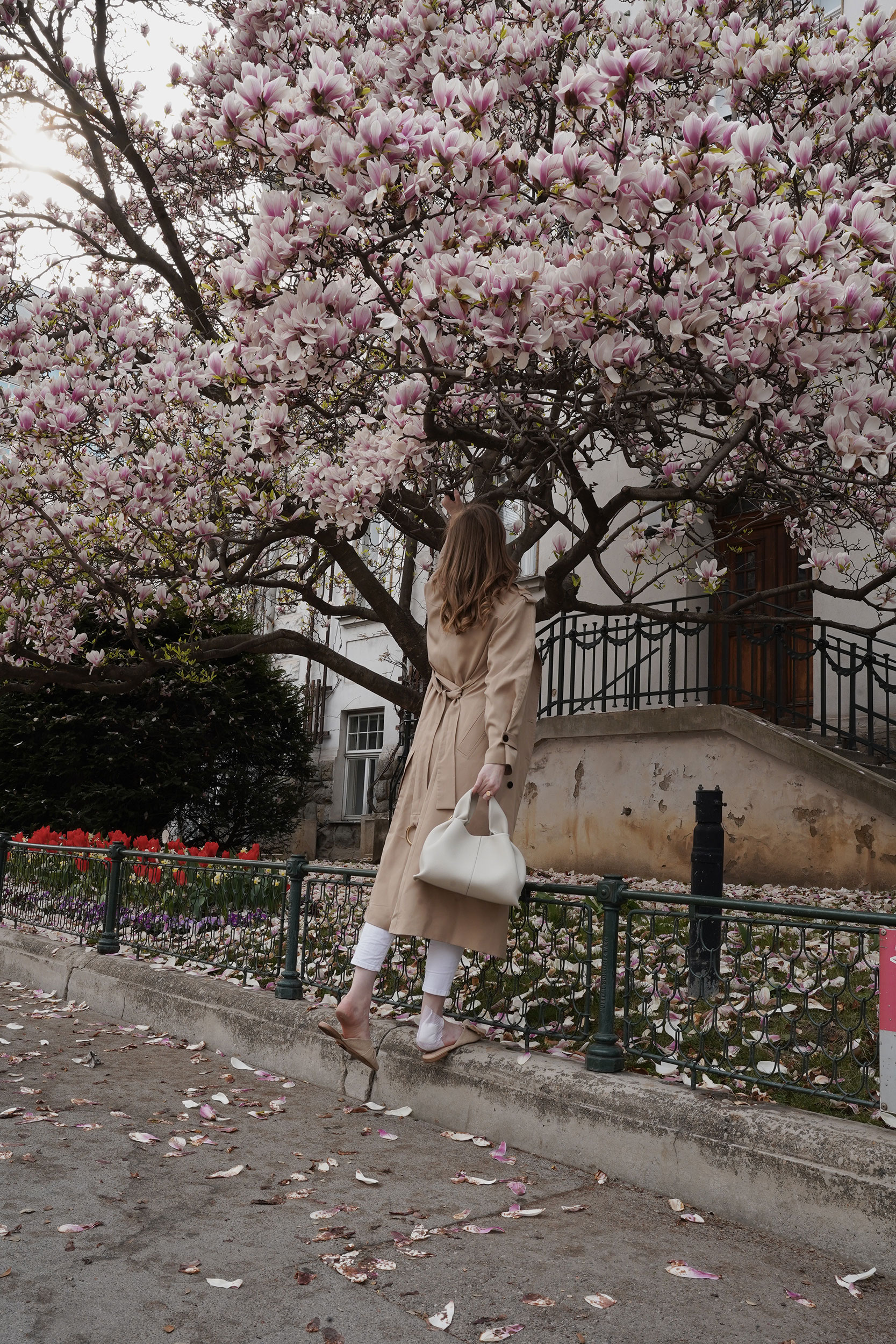 Trenchcoat Outfit, Spring, Wien, Magnolienbaum, Magnolia tree, polene bag