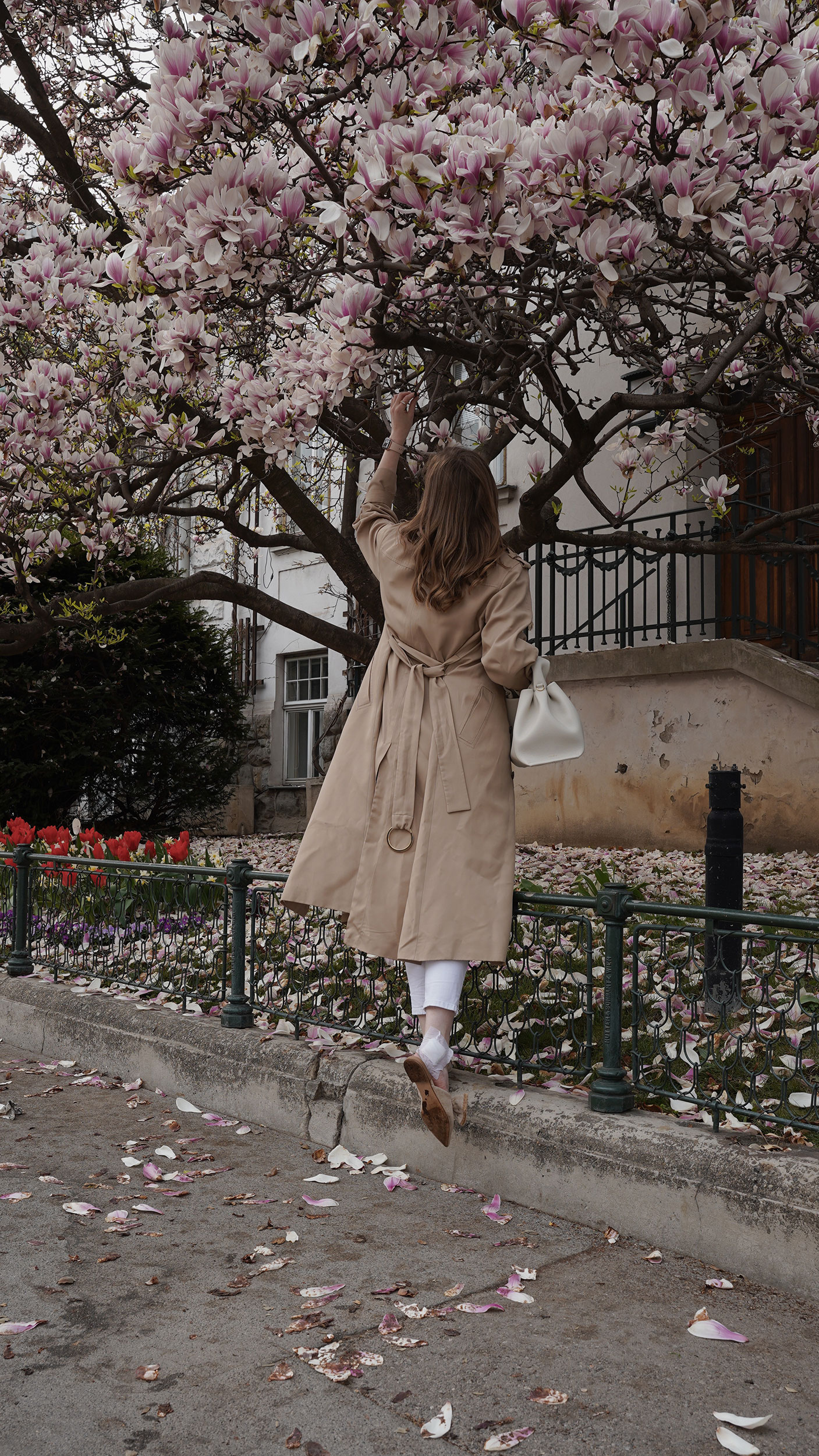 Trenchcoat Outfit, Spring, Wien, Magnolienbaum, Magnolia tree, polene bag